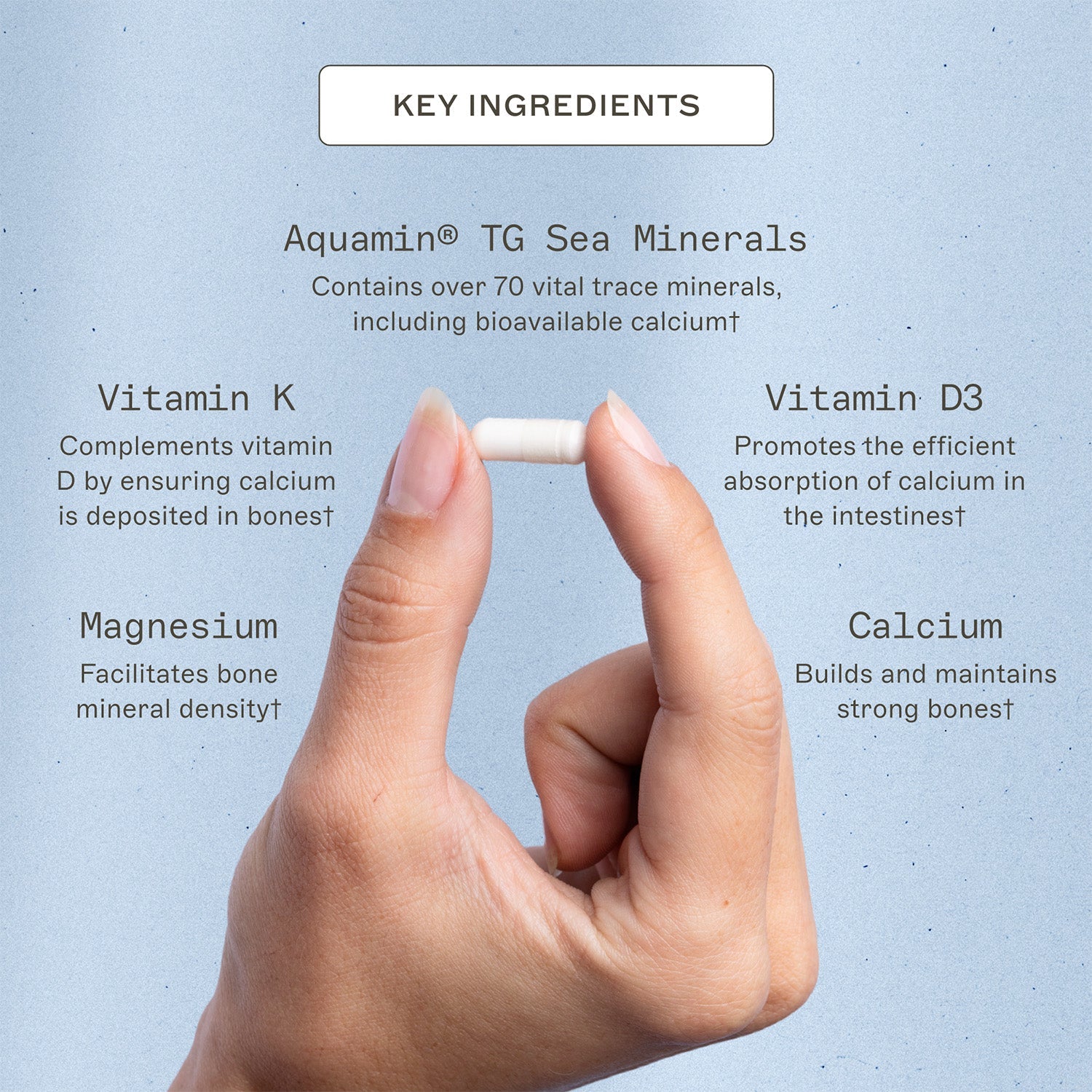 OsteoDura™ by Amy Myers MD