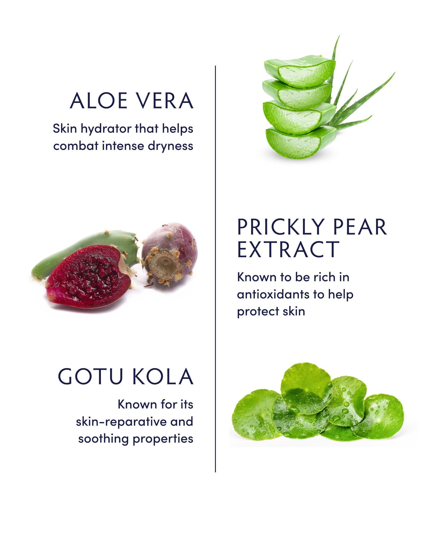 Aloe Vera Replenishing Gel Mask by Naturopathica