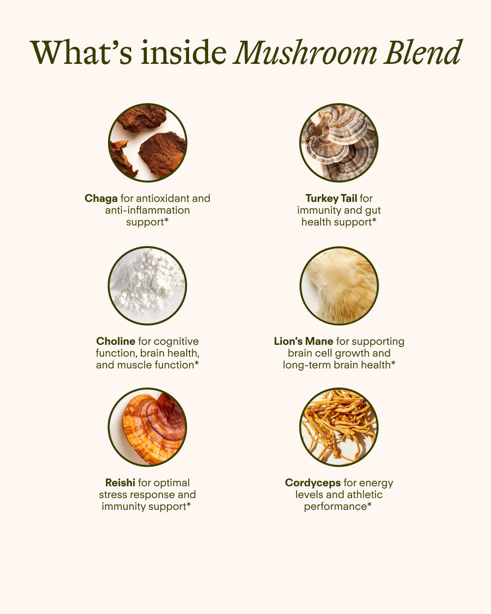 Mushroom Blend Sunny Within