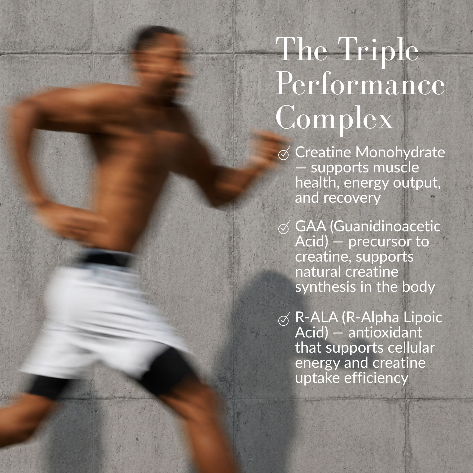Creatine + GAA & R-ALA | 10 Pack