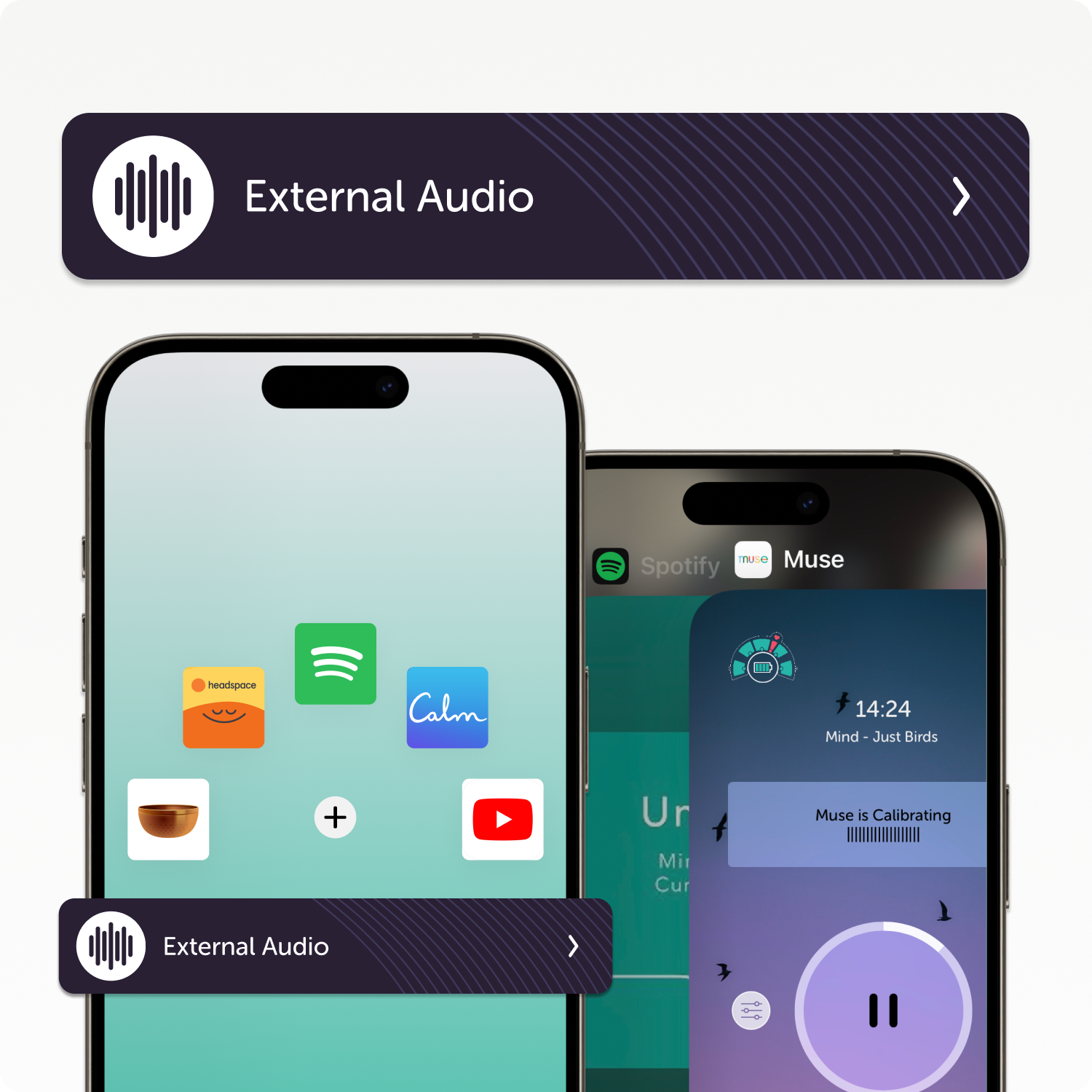 Muse 2 Premium Subscription Bundle
