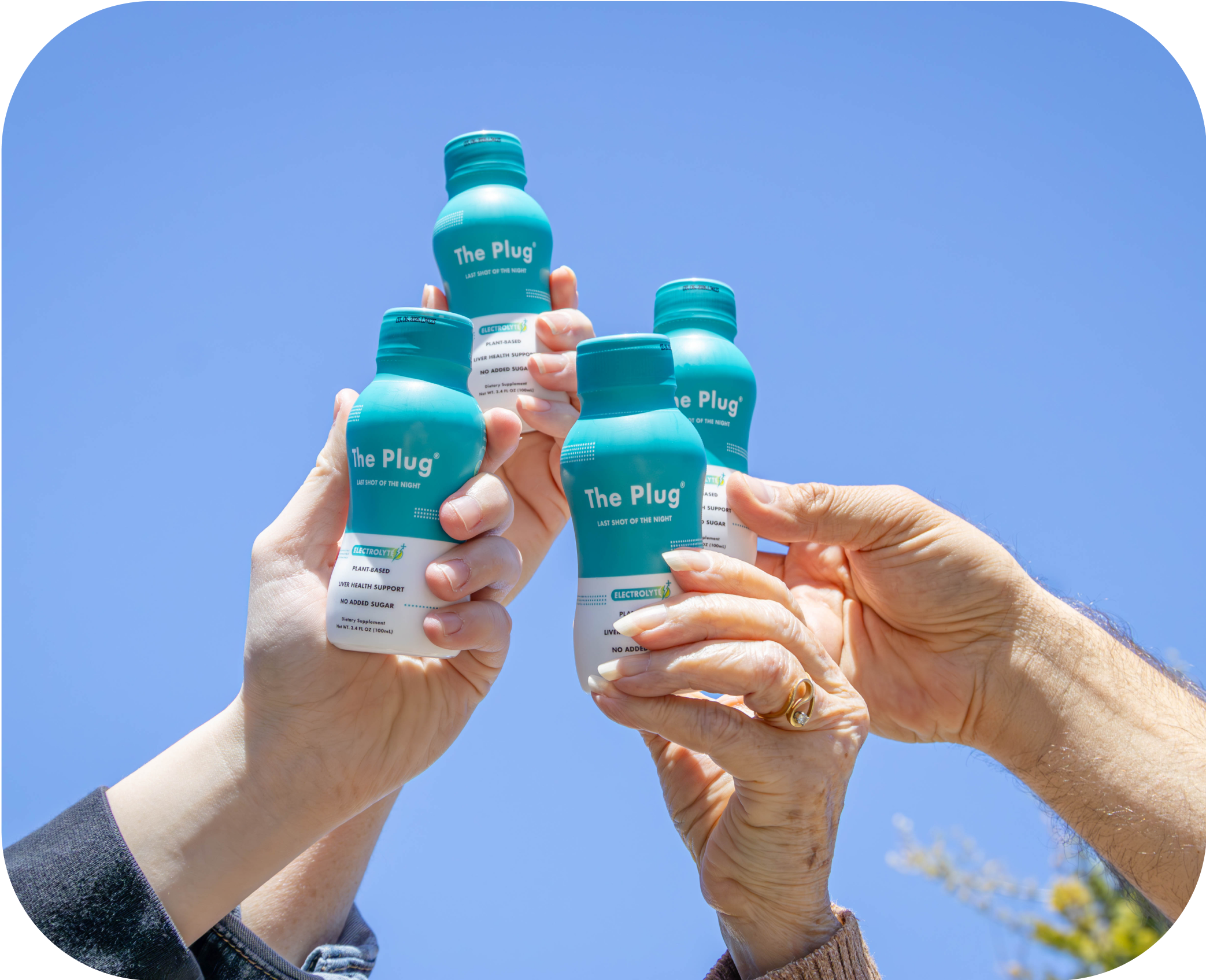 The Plug Drink by The Plug Drink