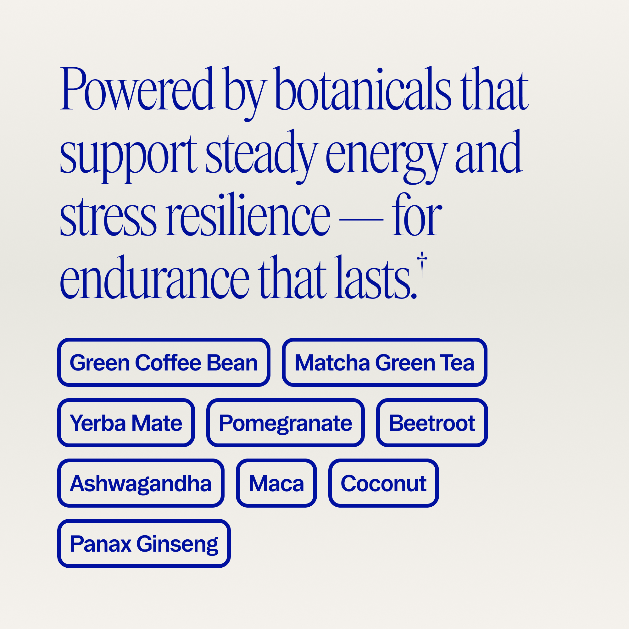 Organic Pre-Workout Powder