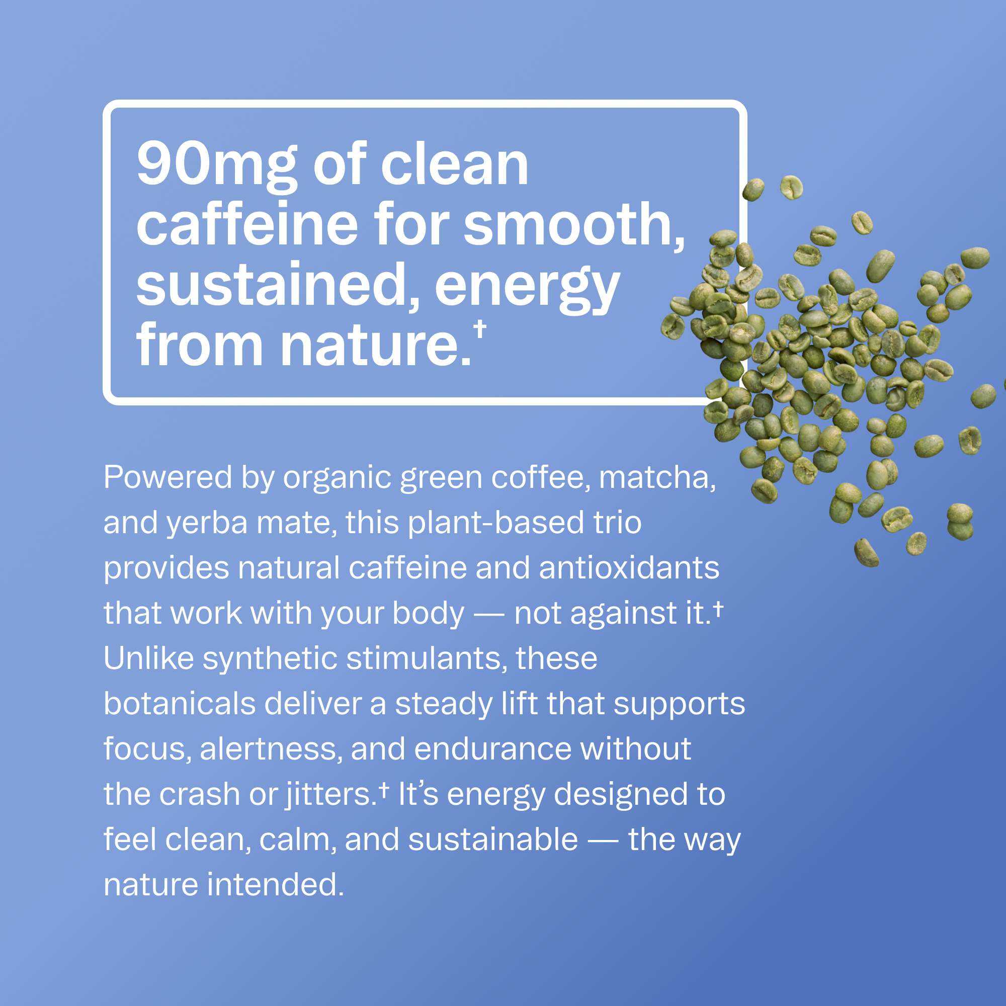 Organic Pre-Workout Powder