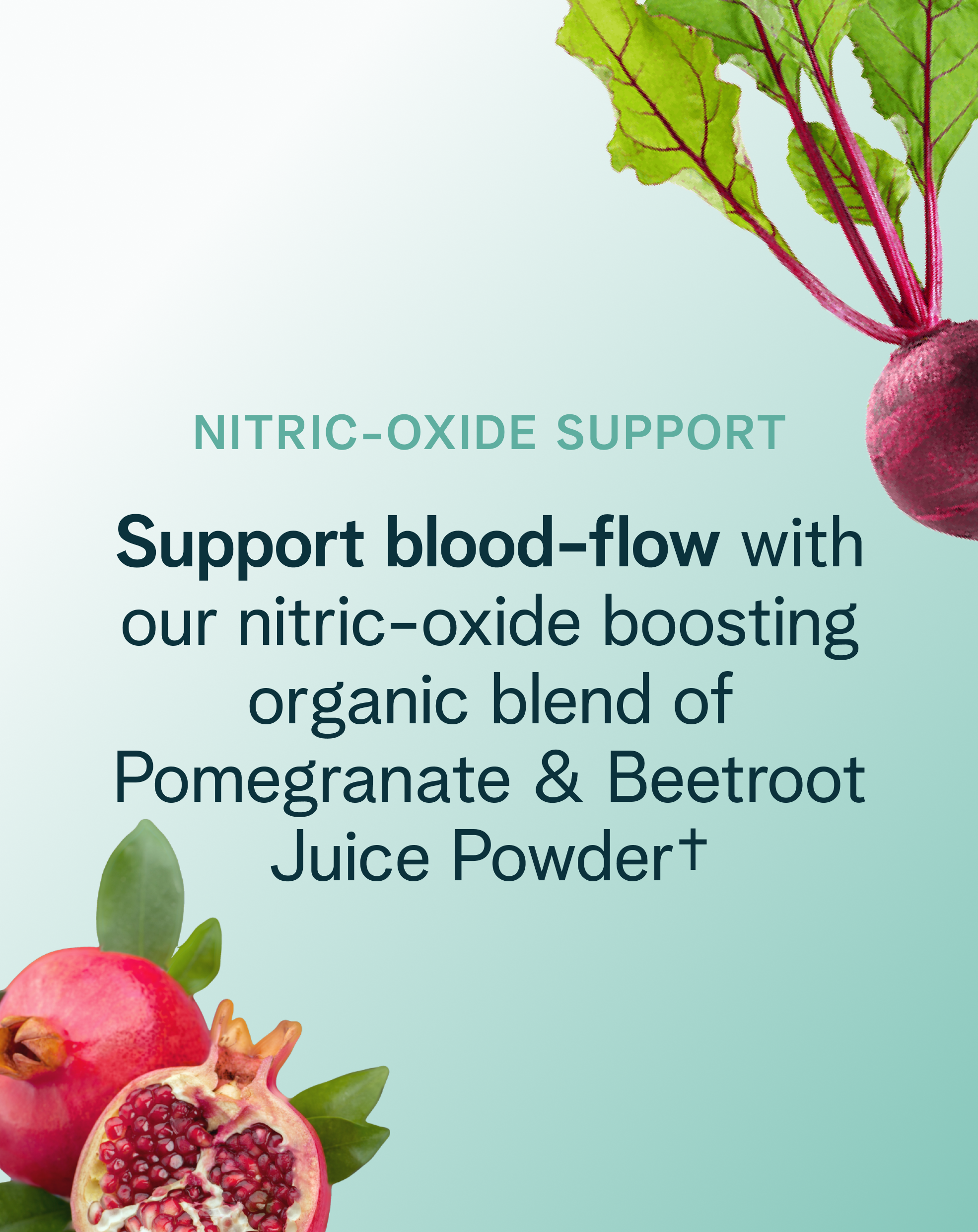 Performance Pre-workout