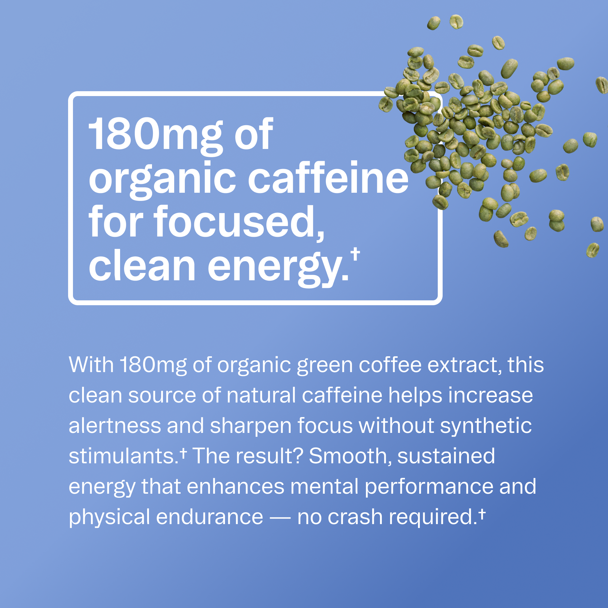 Performance Pre-workout