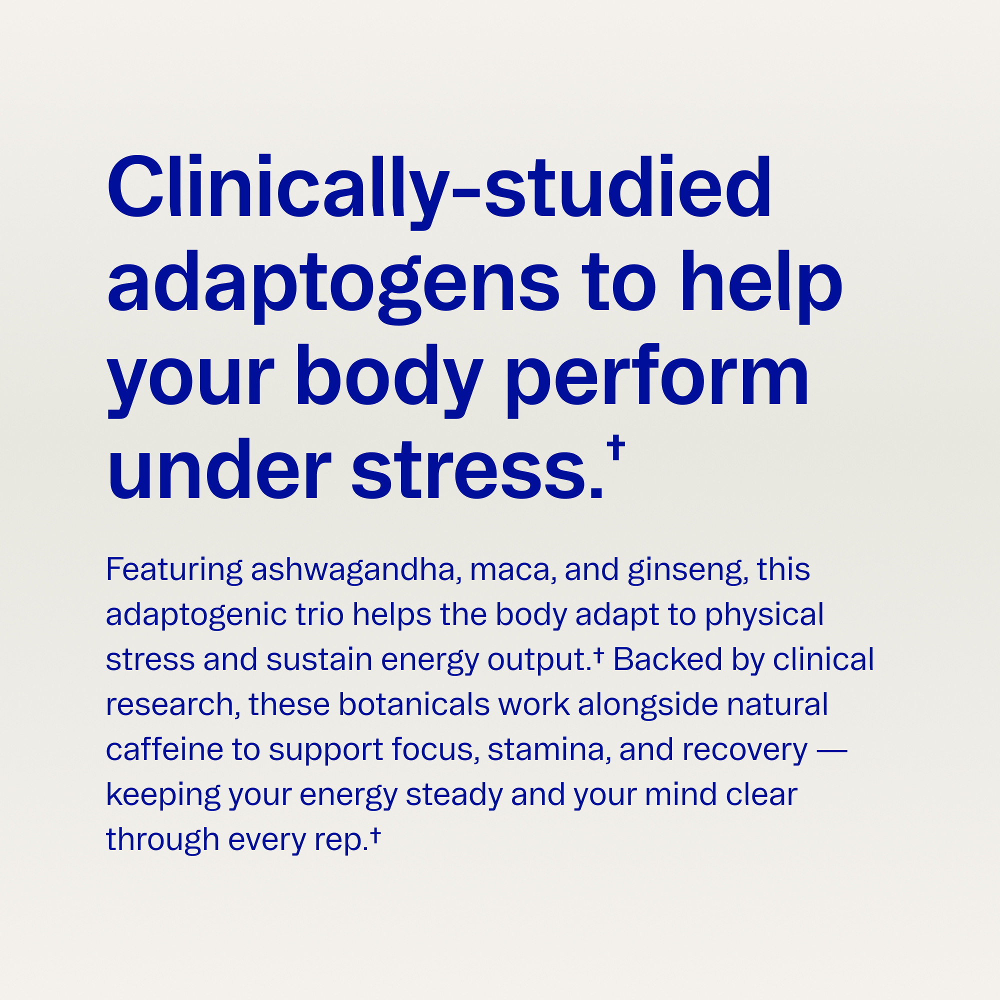 Performance Pre-workout