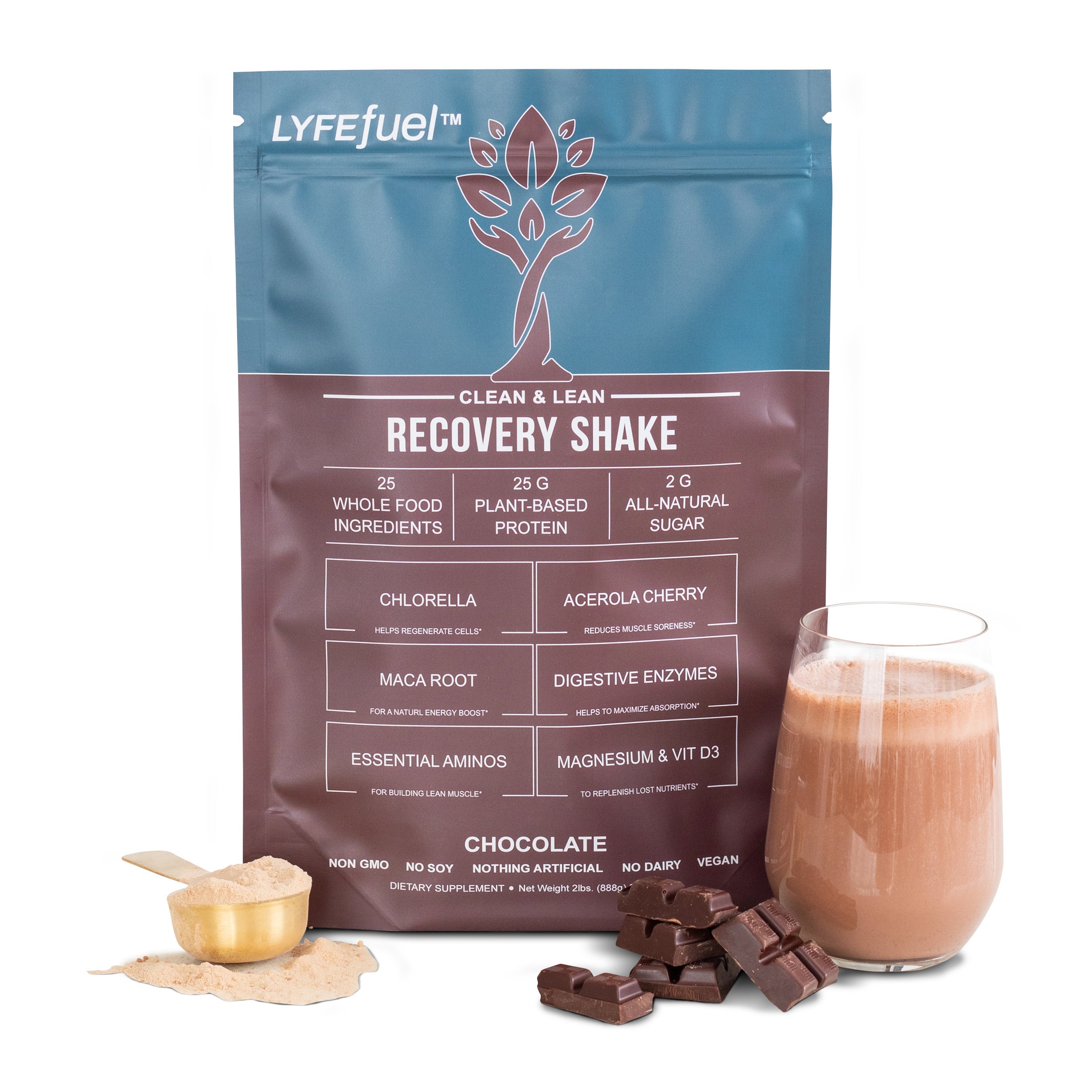 Performance Shake by LyfeFuel
