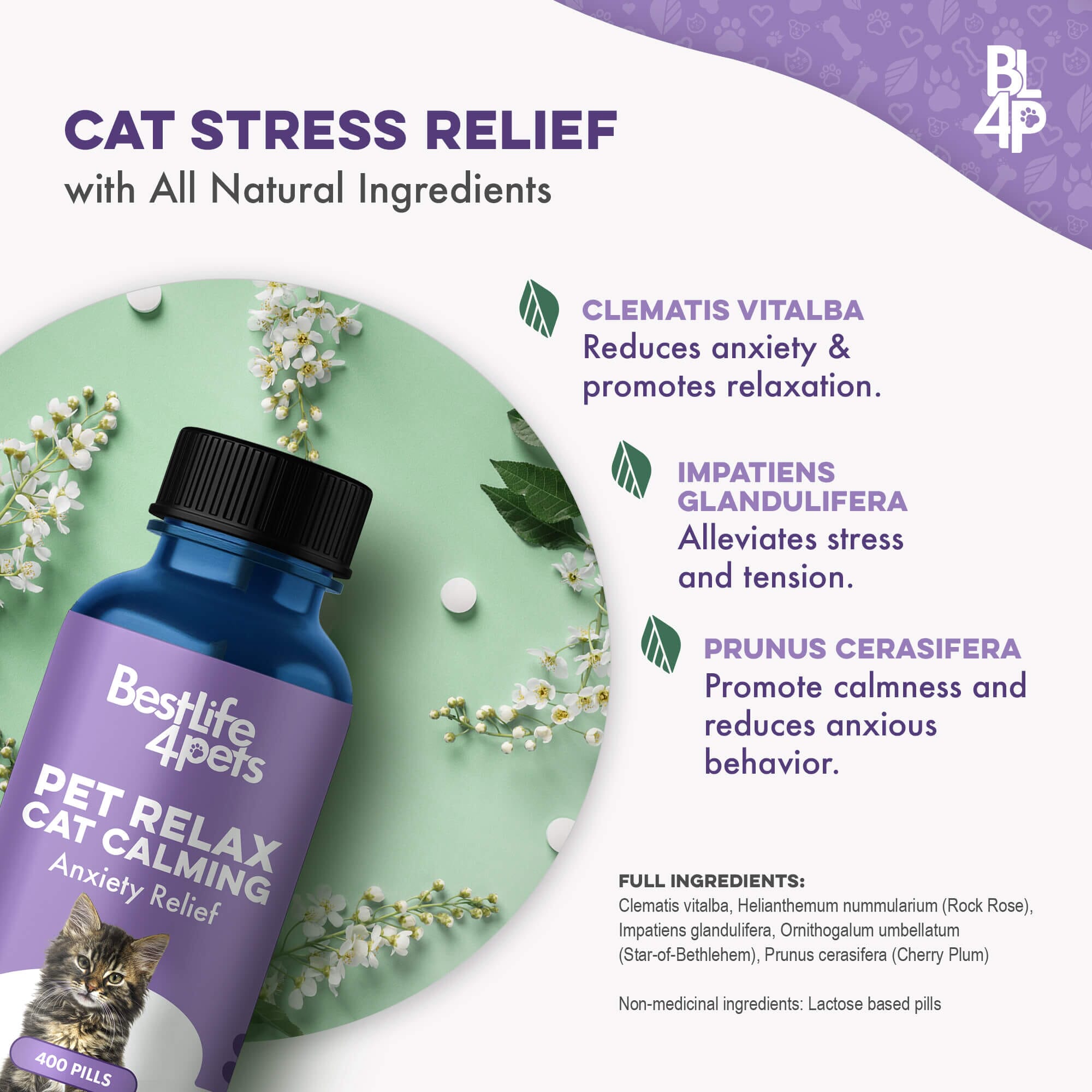 Pet Relax Anxiety and Stress Relief for Cats by BestLife4Pets