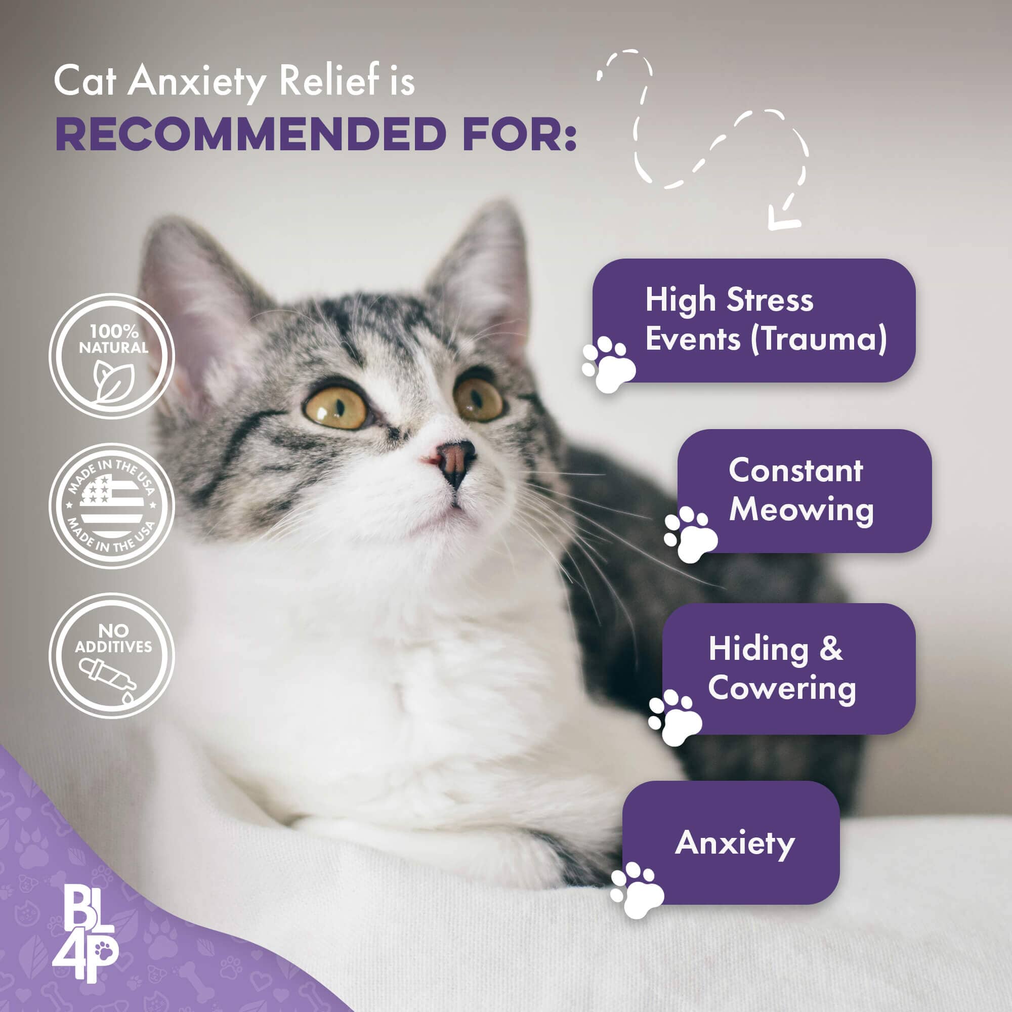 Pet Relax Anxiety and Stress Relief for Cats by BestLife4Pets