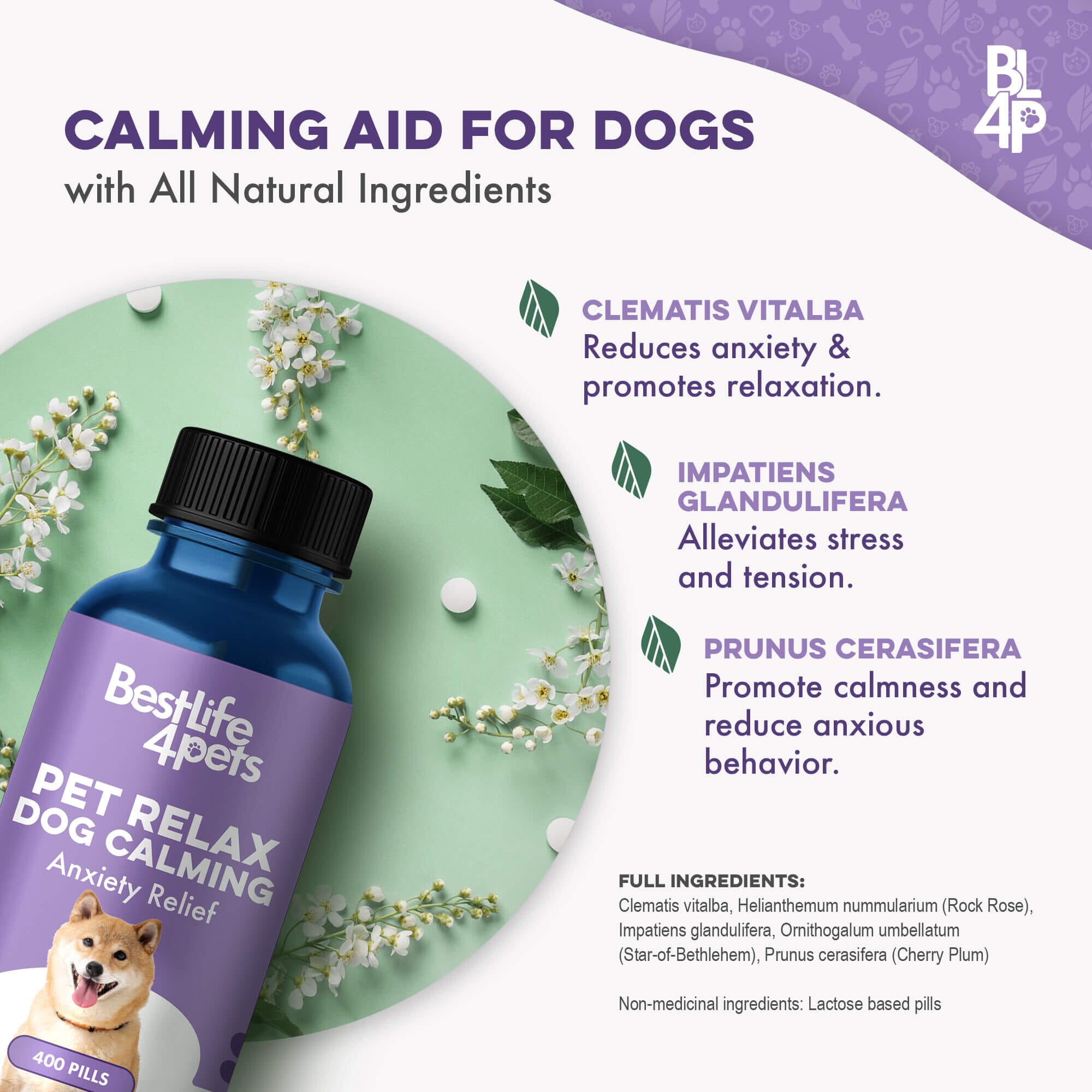 Pet Relax Dog Anxiety and Calming Relief Formula by BestLife4Pets