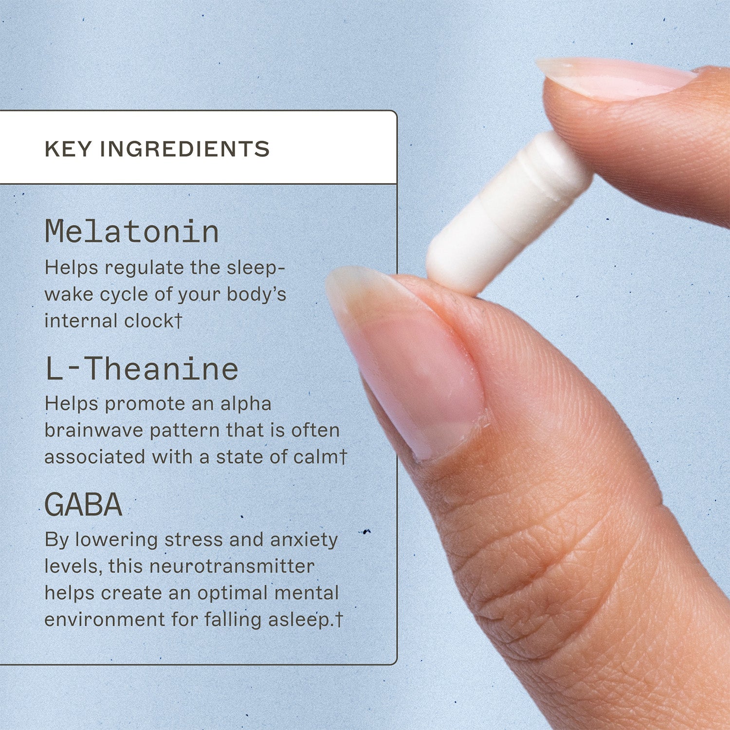 Rest and Restore™ by Amy Myers MD