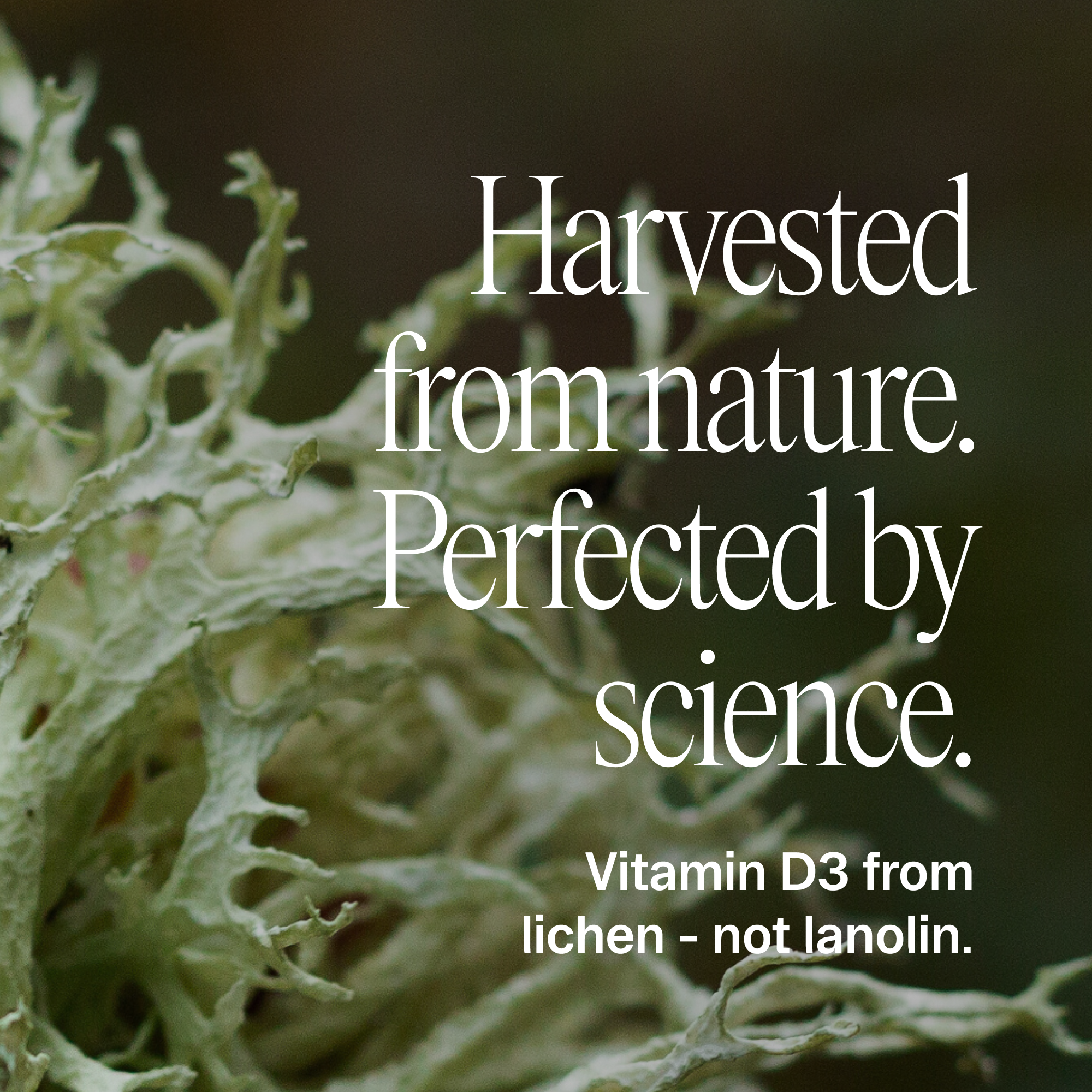 Plant-based Vitamin D Tablets