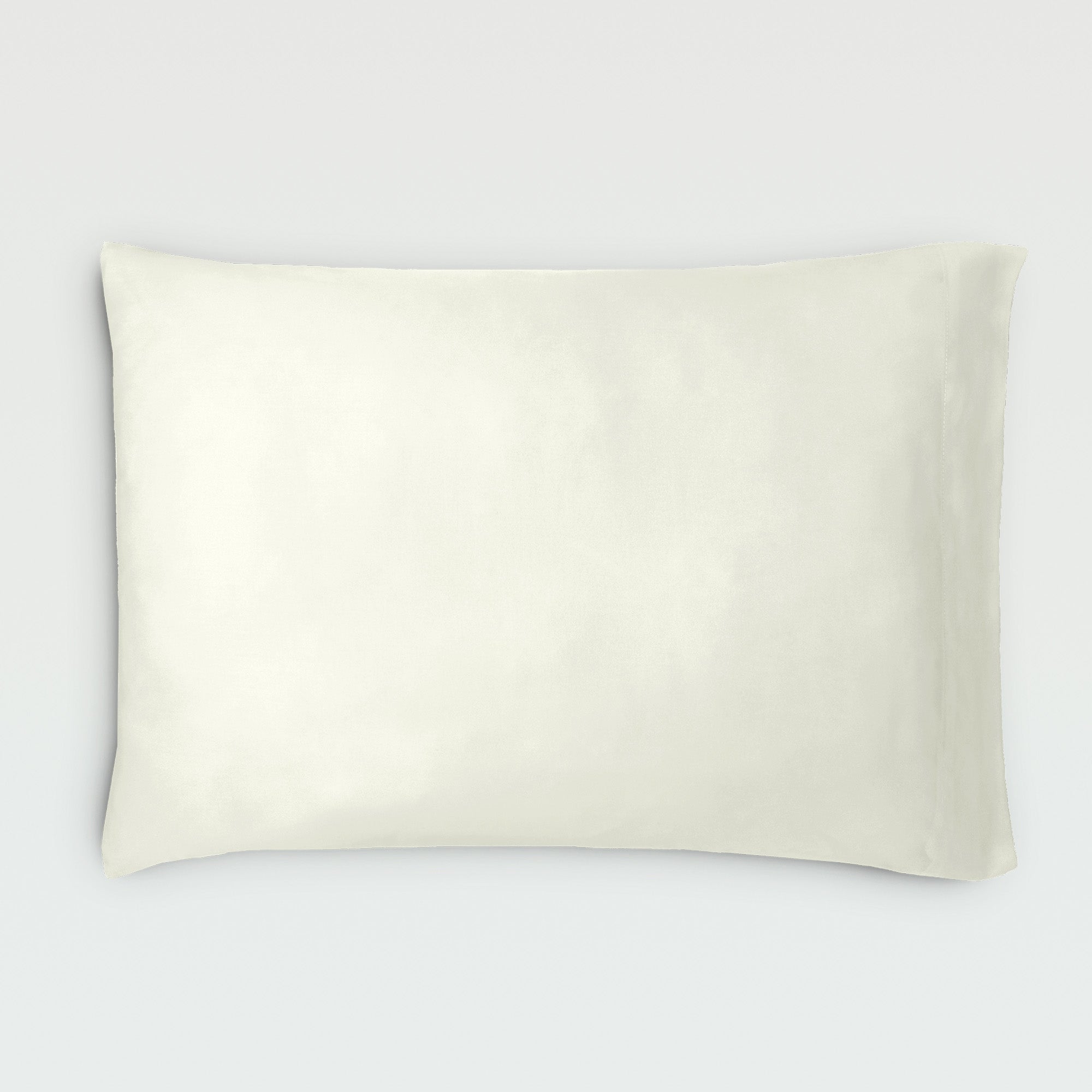 AiryWeight Eucalyptus Pillowcase Set