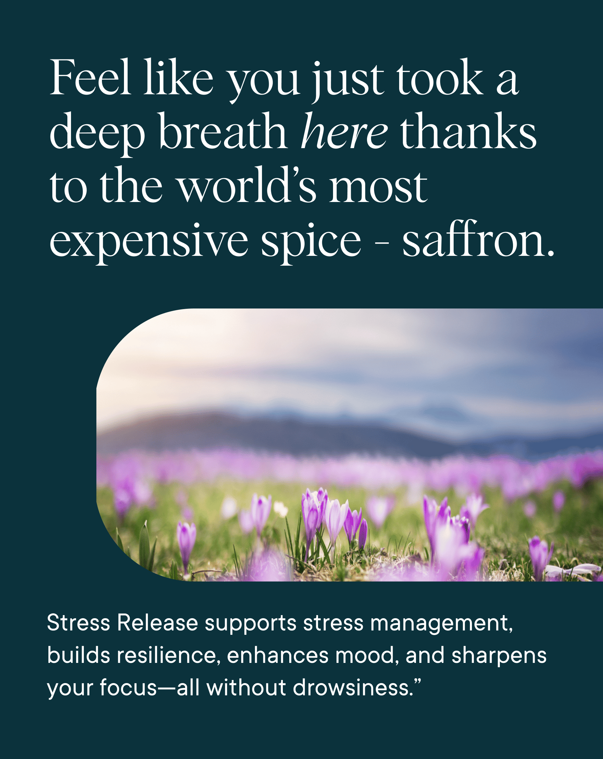 Stress Support