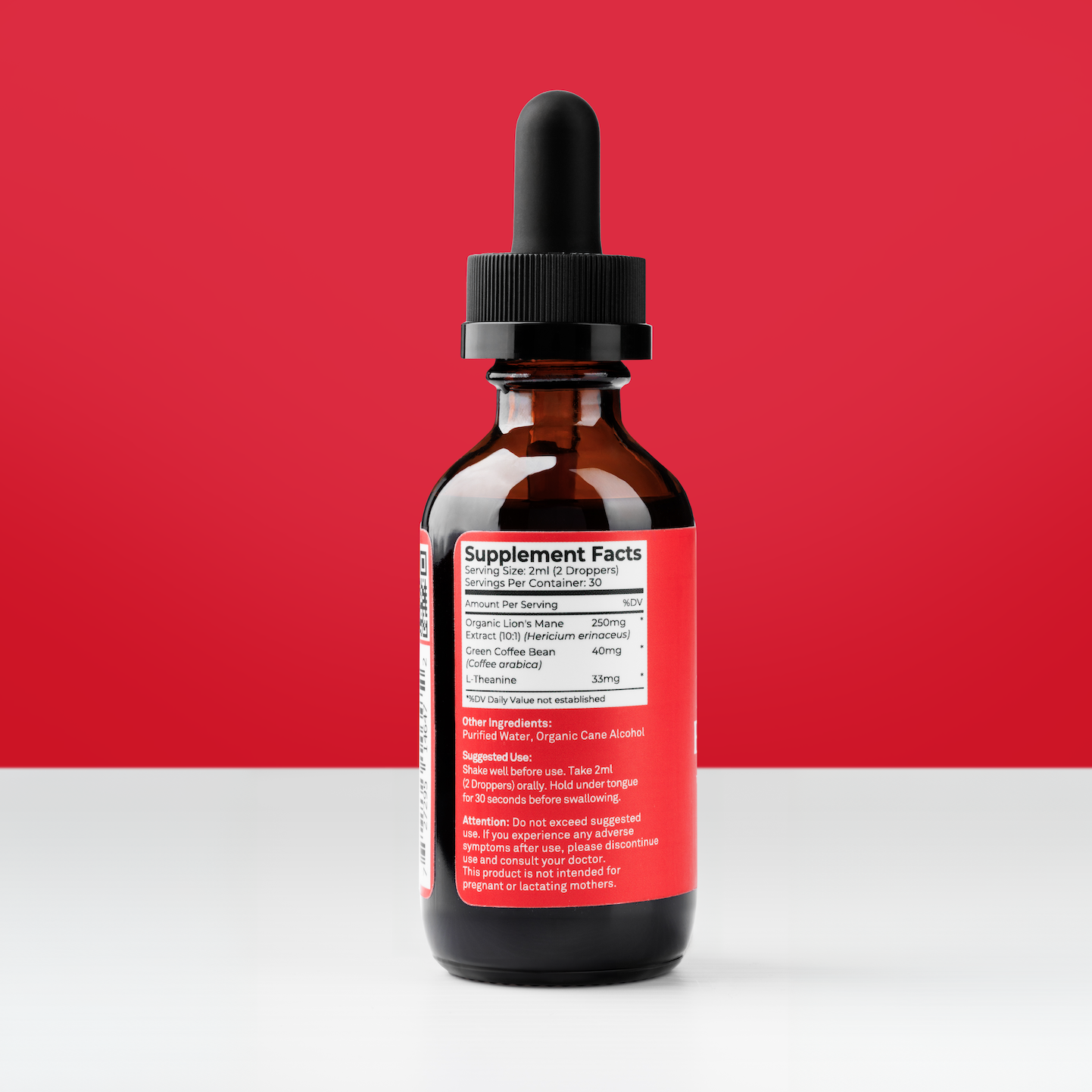 Mushroom Brain Blend Tincture (2oz)