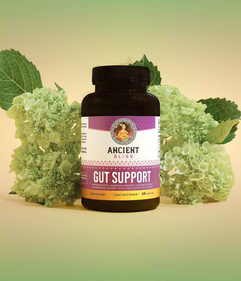 Gut Support