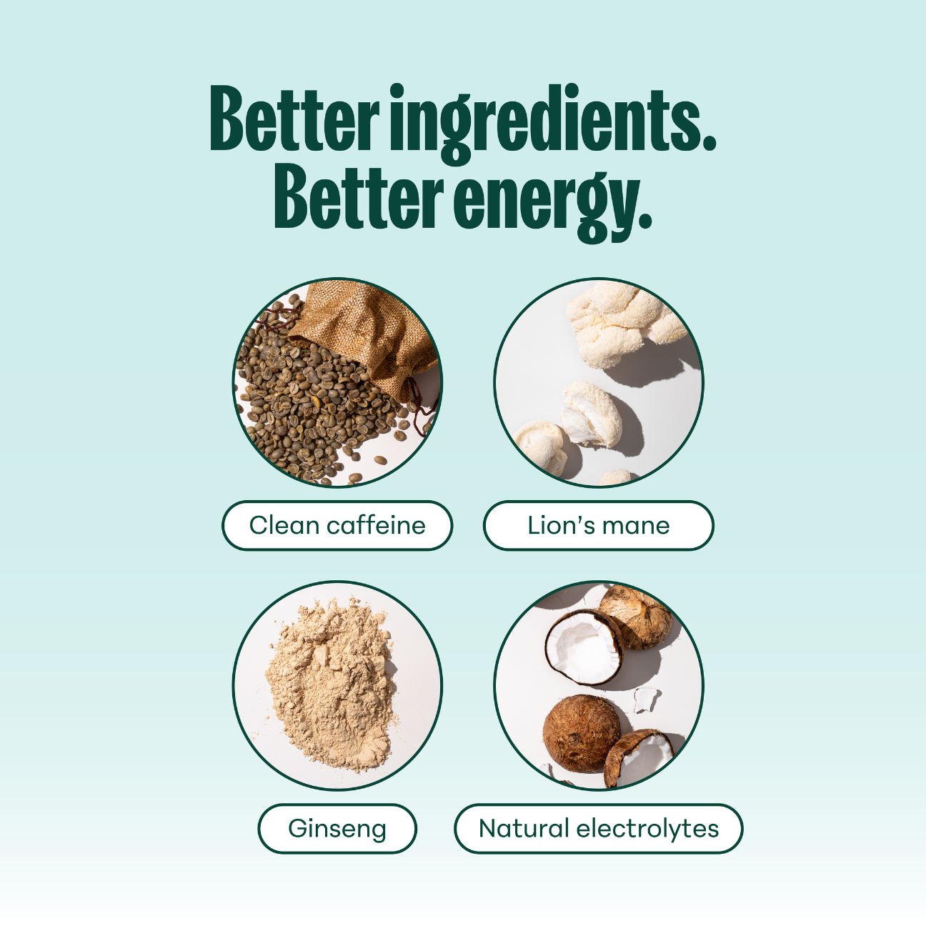 Variety Pack: Energy Drinks