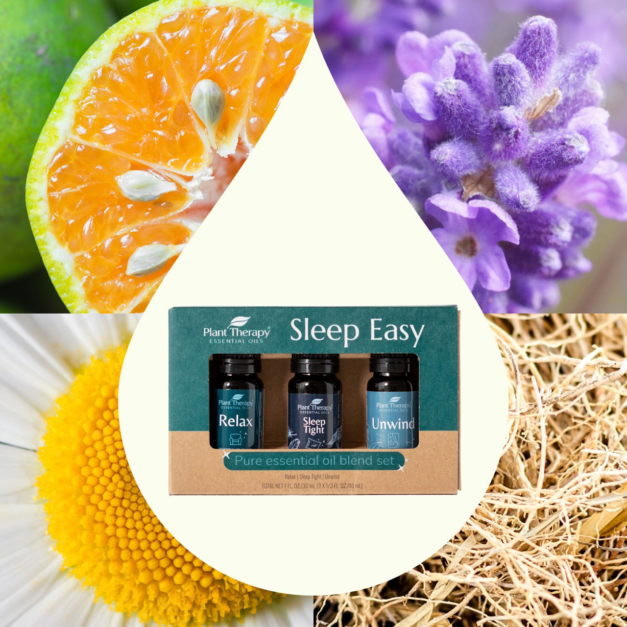 Sleep Easy Essential Oil Blend Set by Plant Therapy