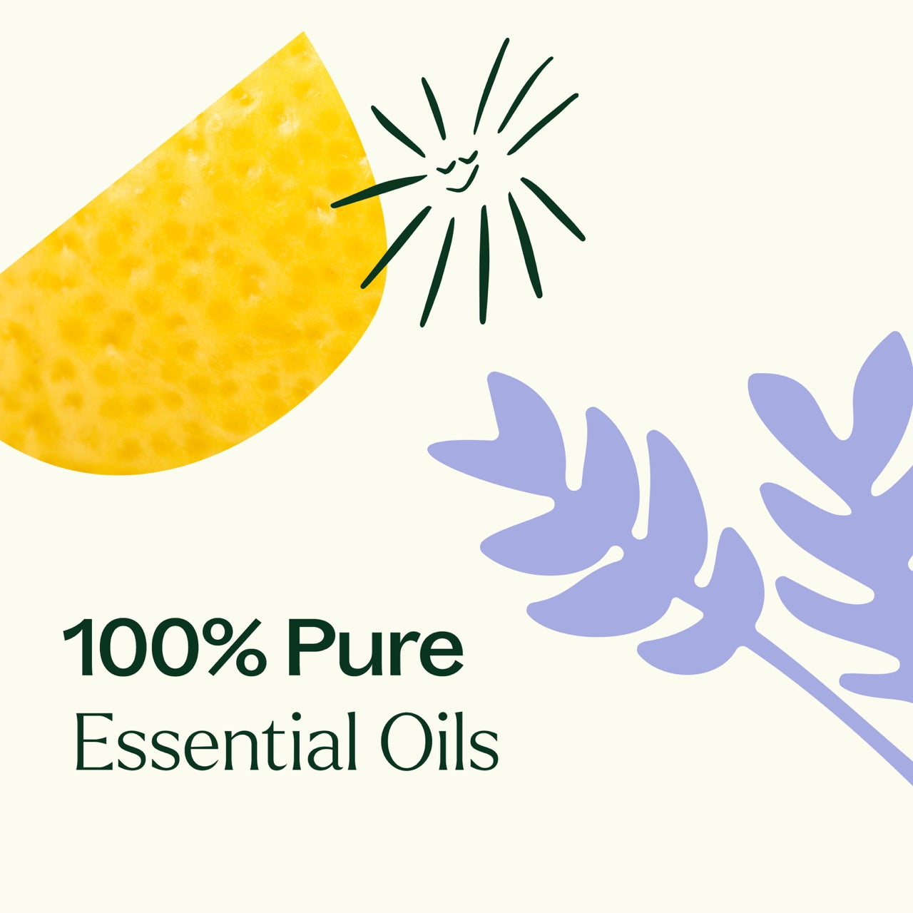 Sleep Easy Essential Oil Blend Set by Plant Therapy
