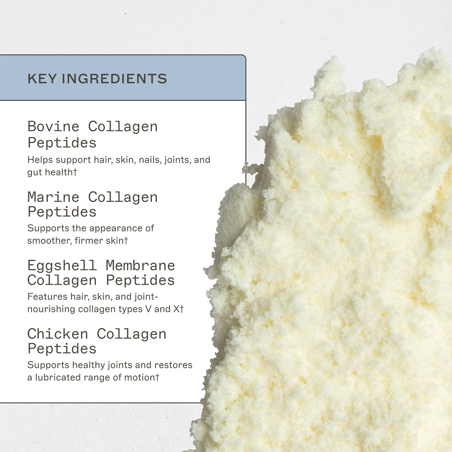 Spectrum 5 Collagen by Amy Myers MD