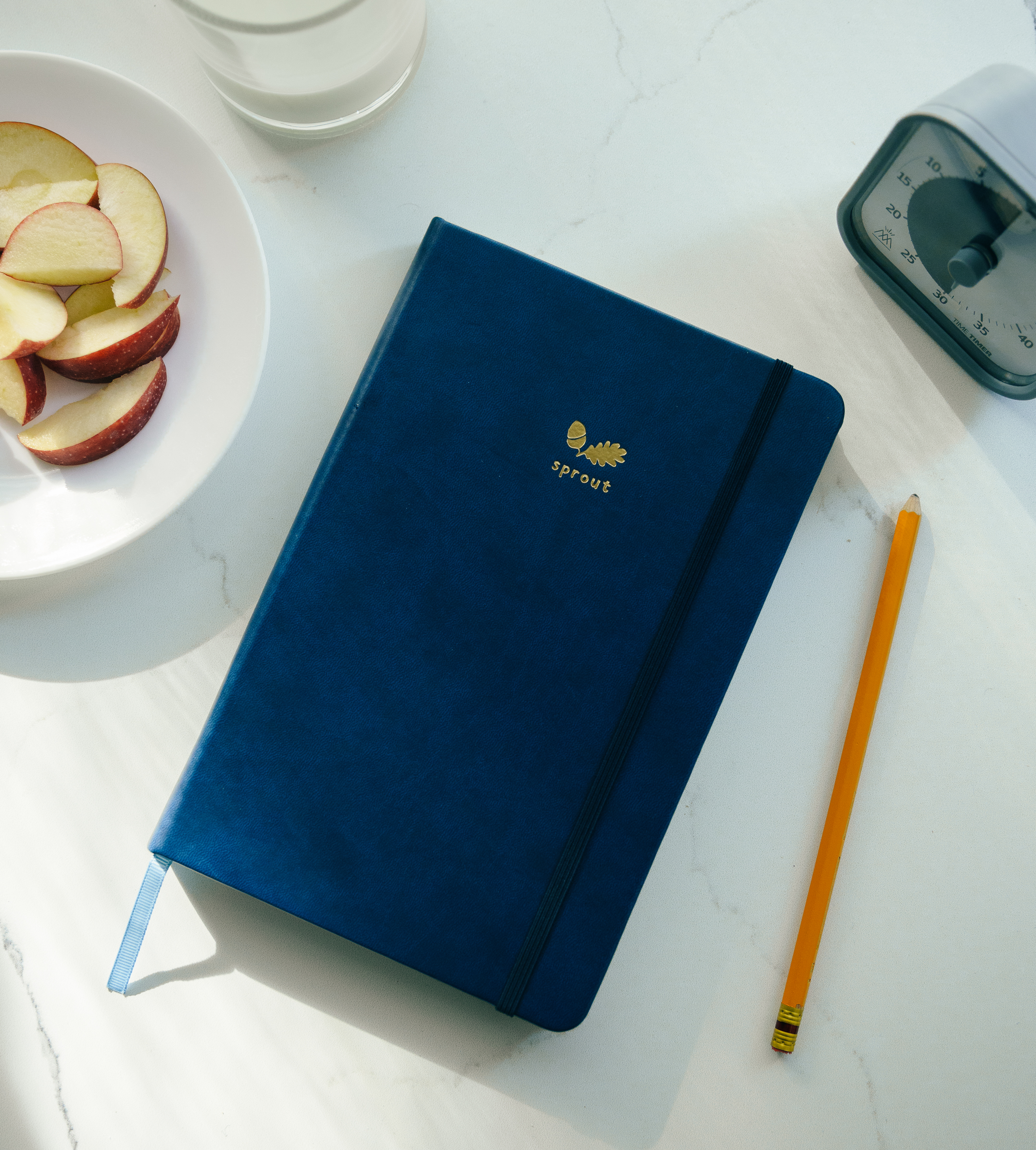 Sprout Journal for Kids by Monk Manual