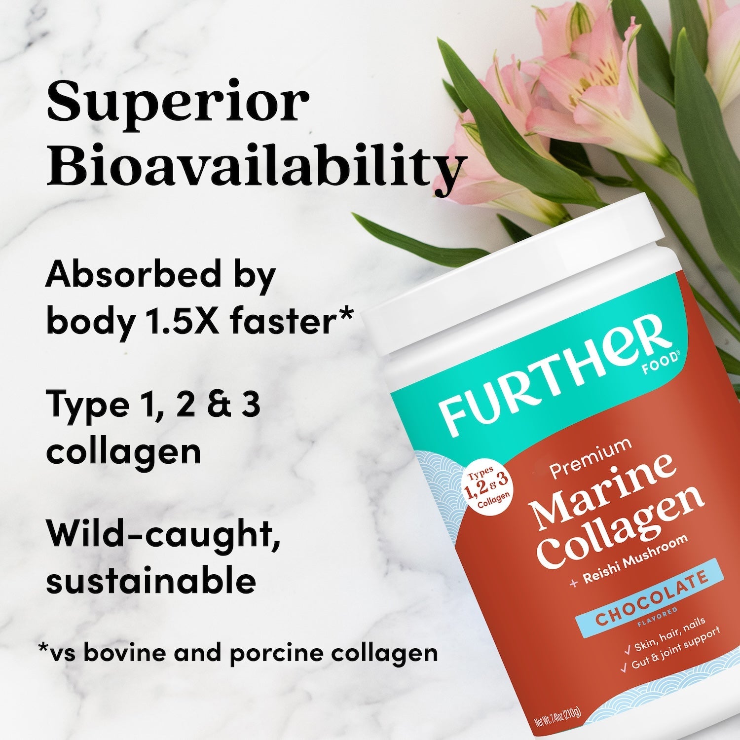 Chocolate Marine Collagen Powder