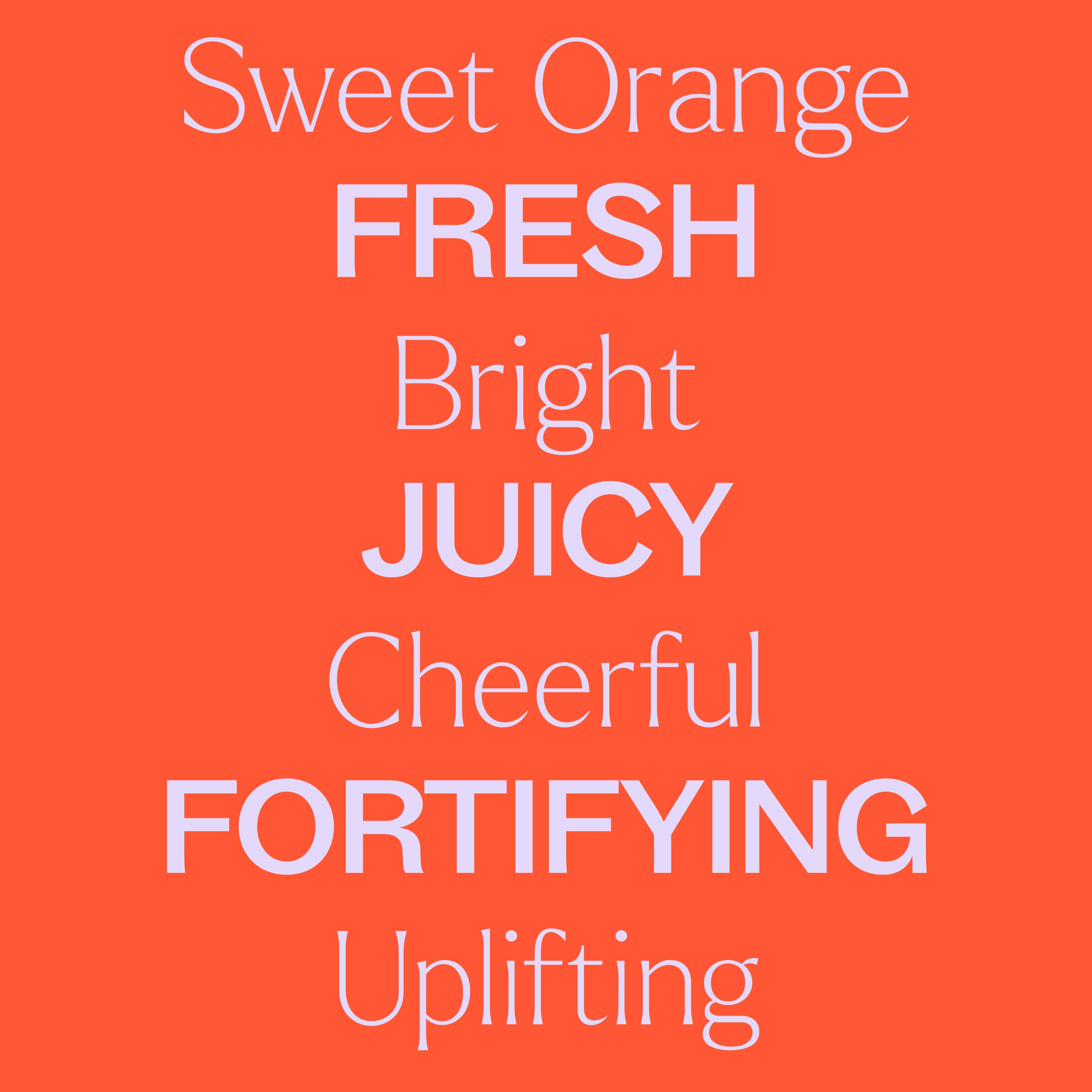 Sweet Orange Body Oil by Plant Therapy