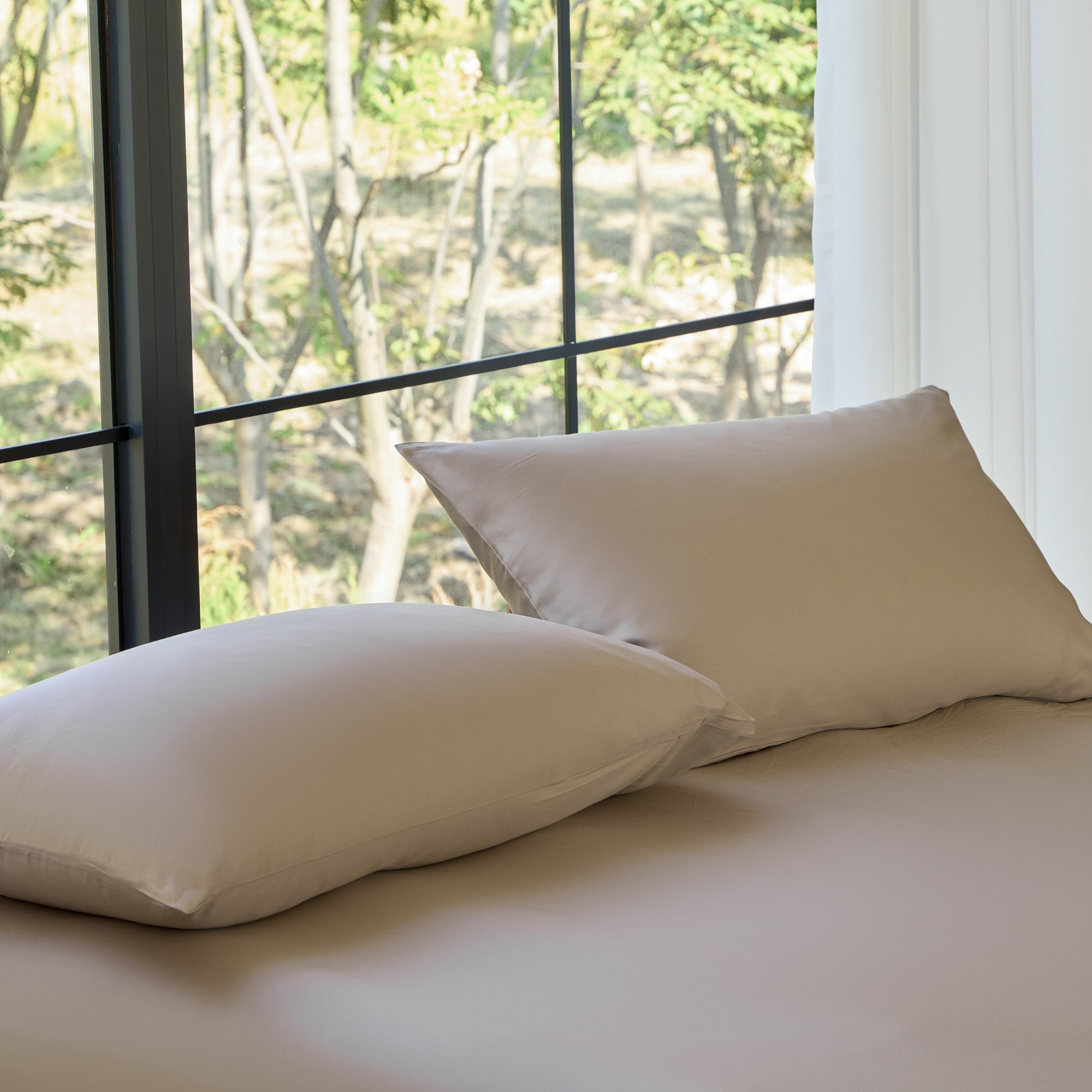 AiryWeight Eucalyptus Pillowcase Set