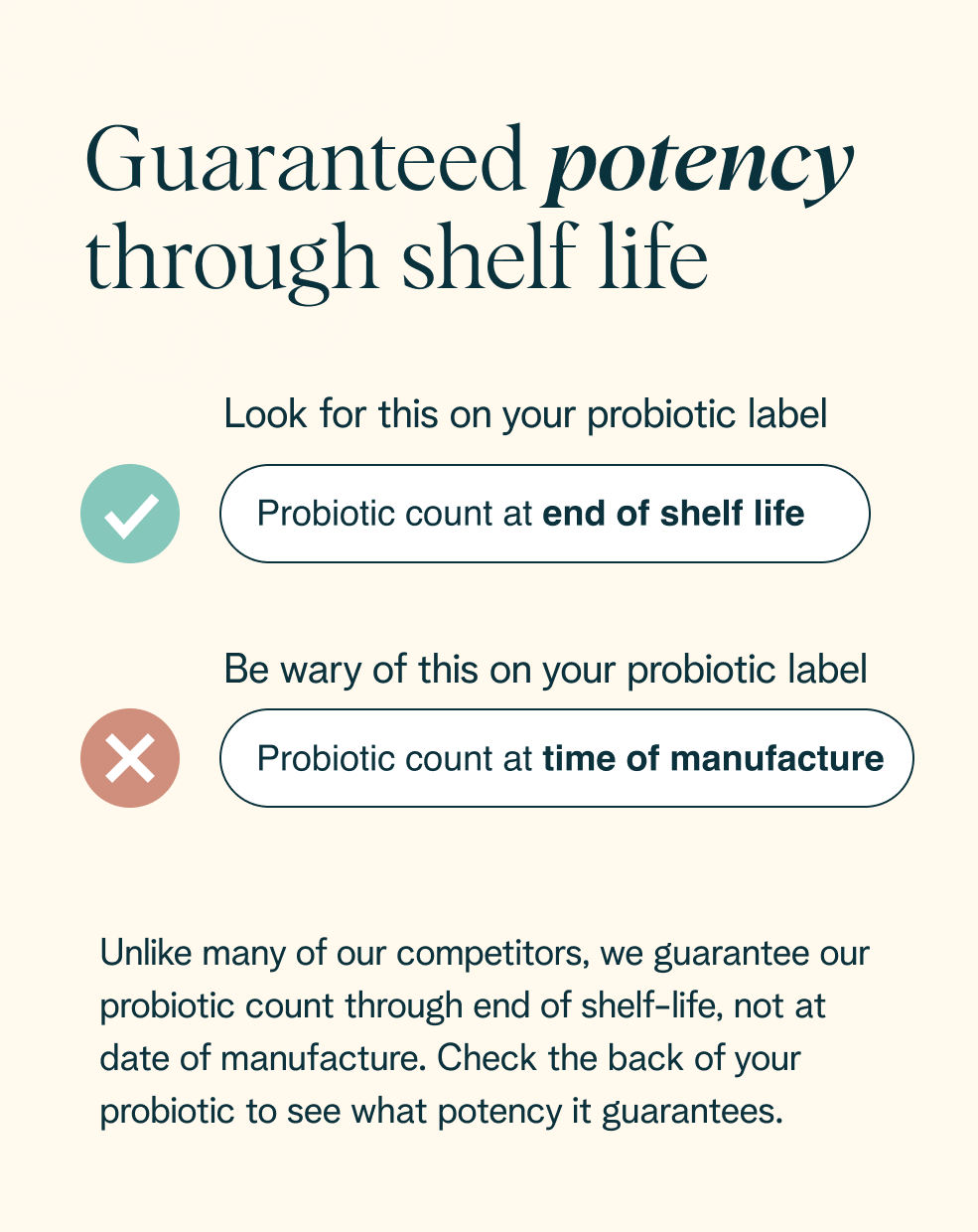 High Potency Probiotic