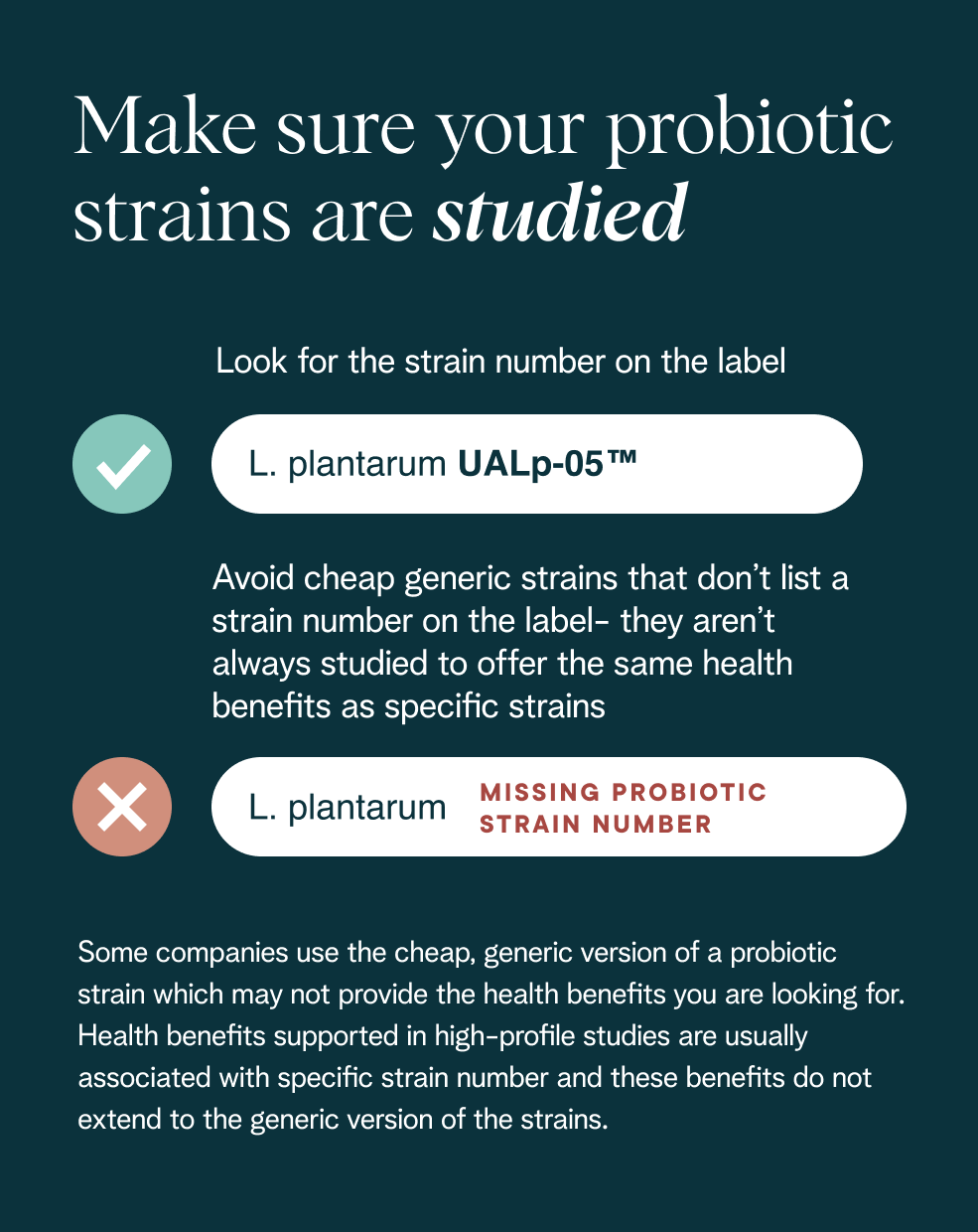 High Potency Probiotic