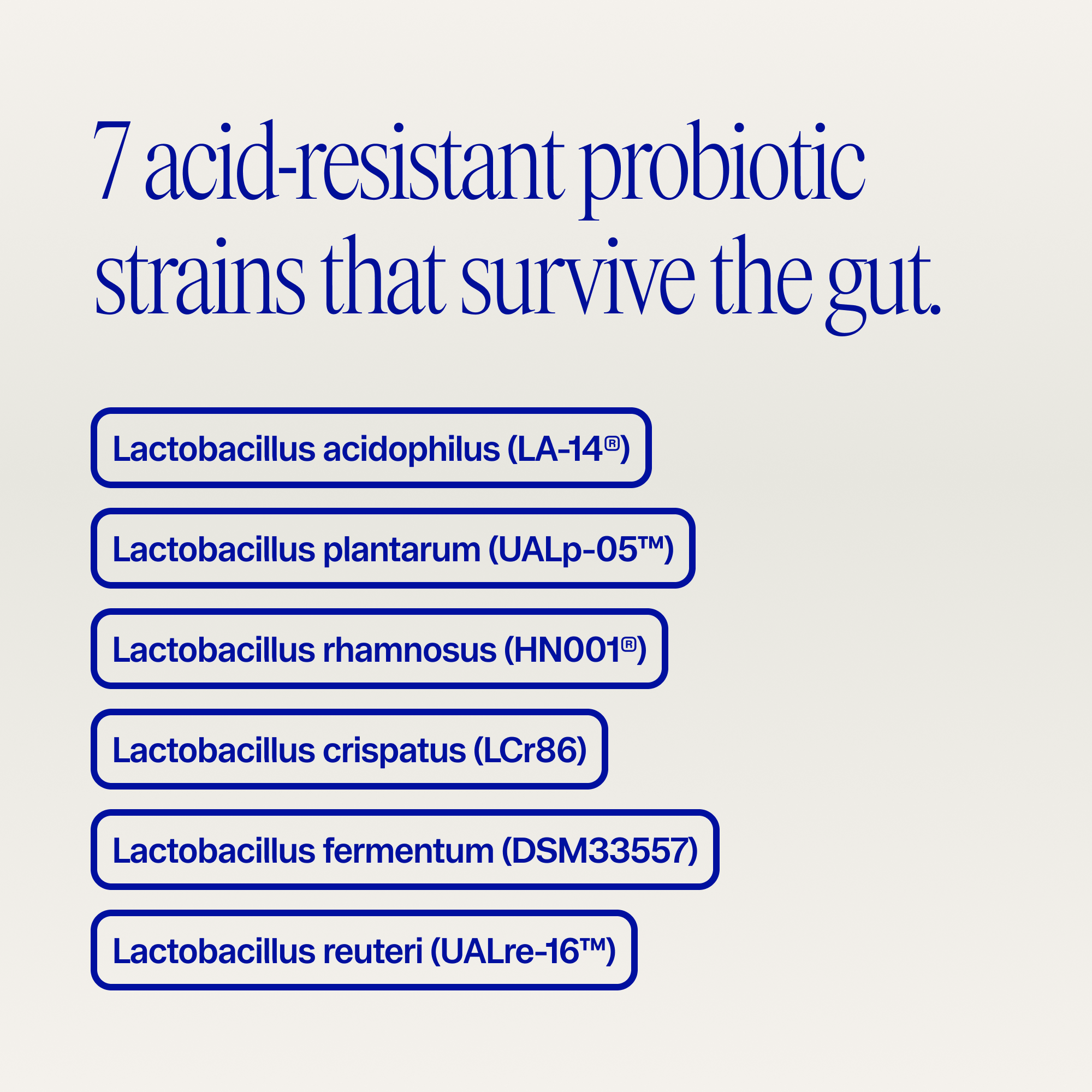 Organic Probiotics with Prebiotics Powder