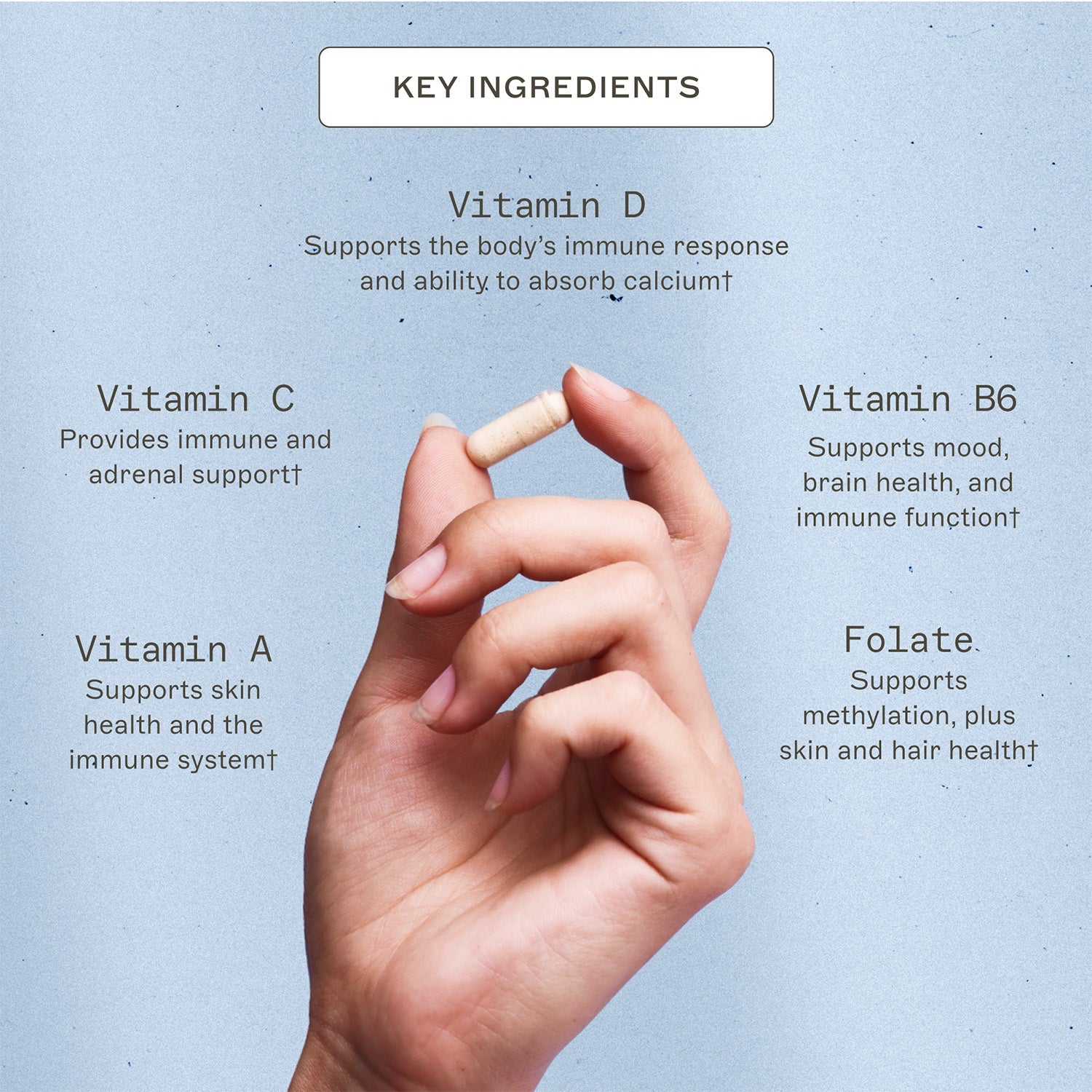 The Myers Way® Multivitamin by Amy Myers MD