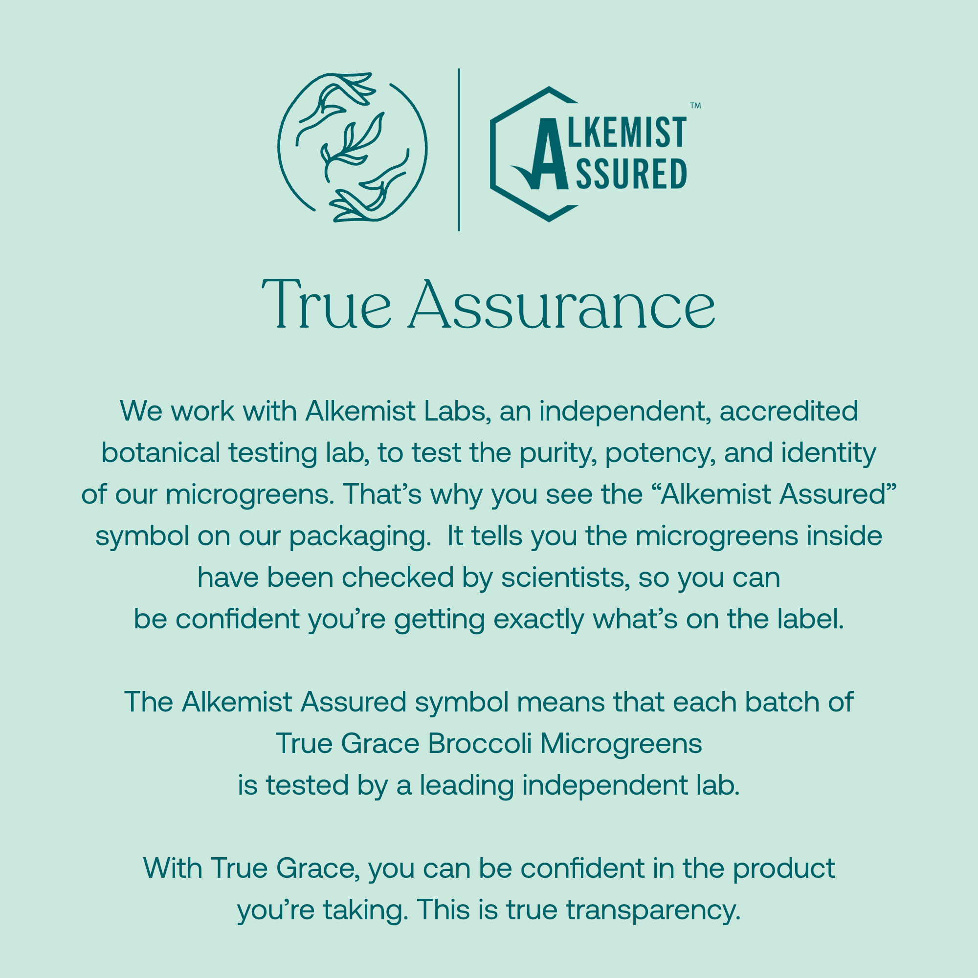 Sunflower Microgreens