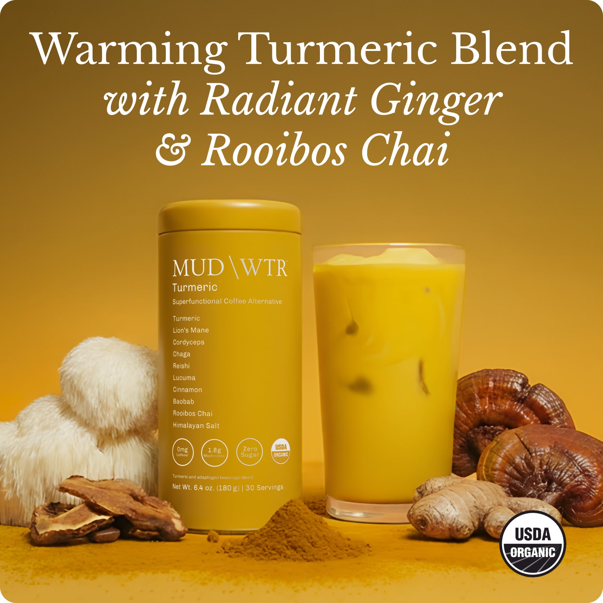 Turmeric (30 serving)