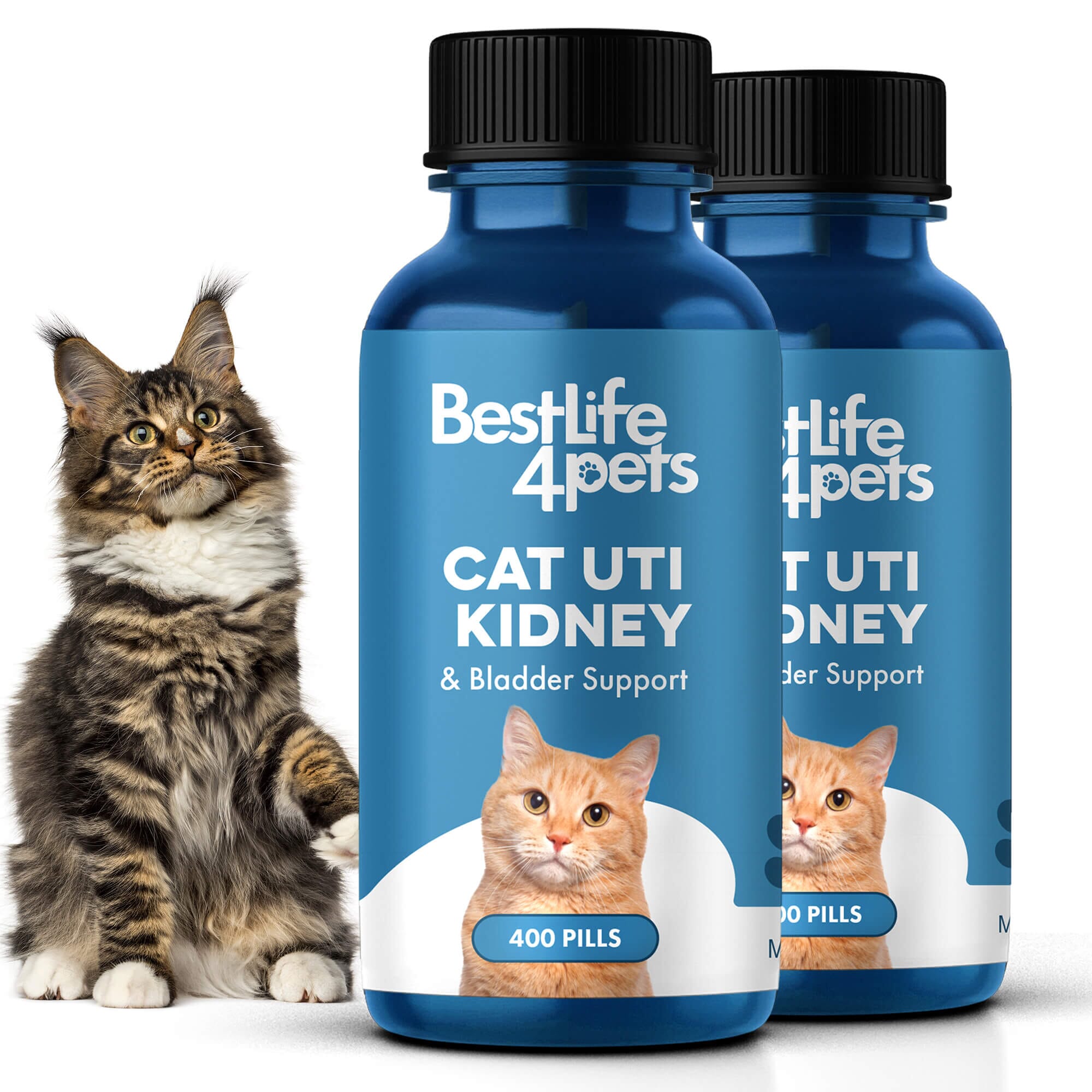 Natural Cat UTI & Kidney Remedy - Reduces Infections and Supports Optimal Bladder Function by BestLife4Pets
