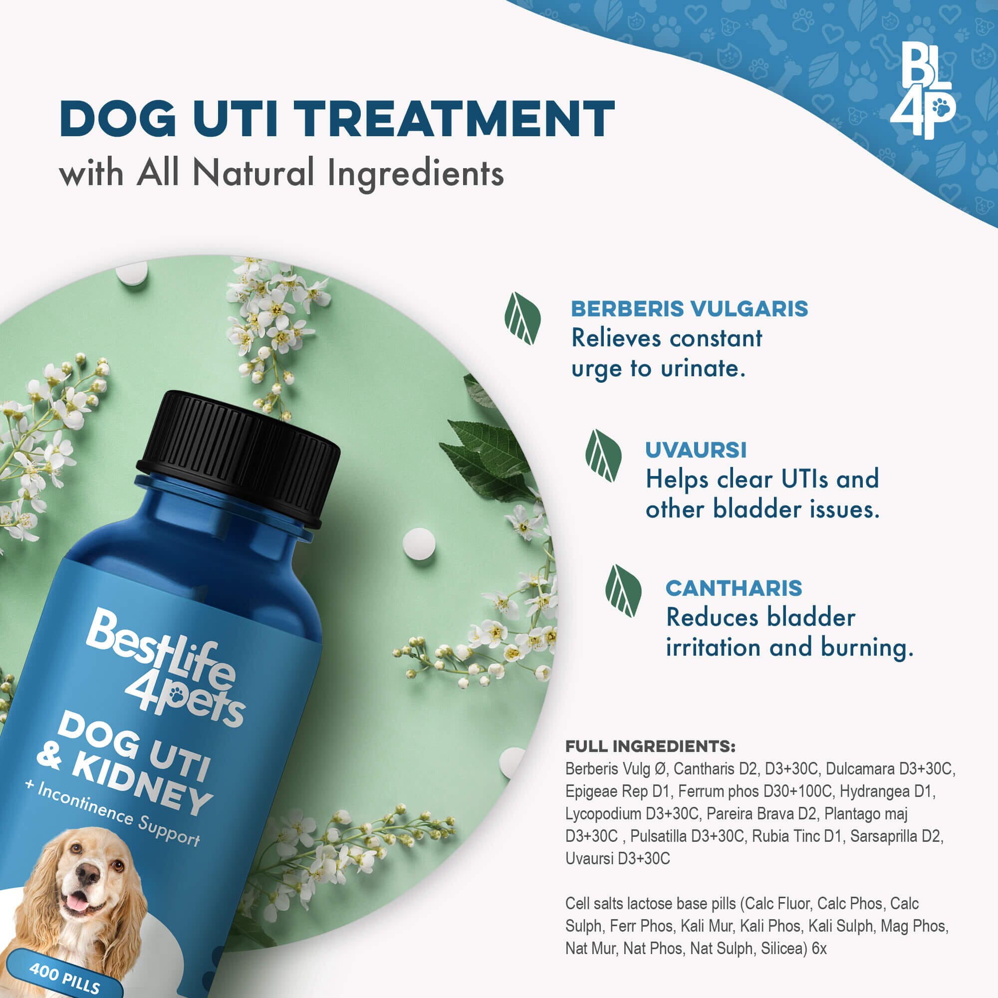 Dog UTI & Kidney Support by BestLife4Pets