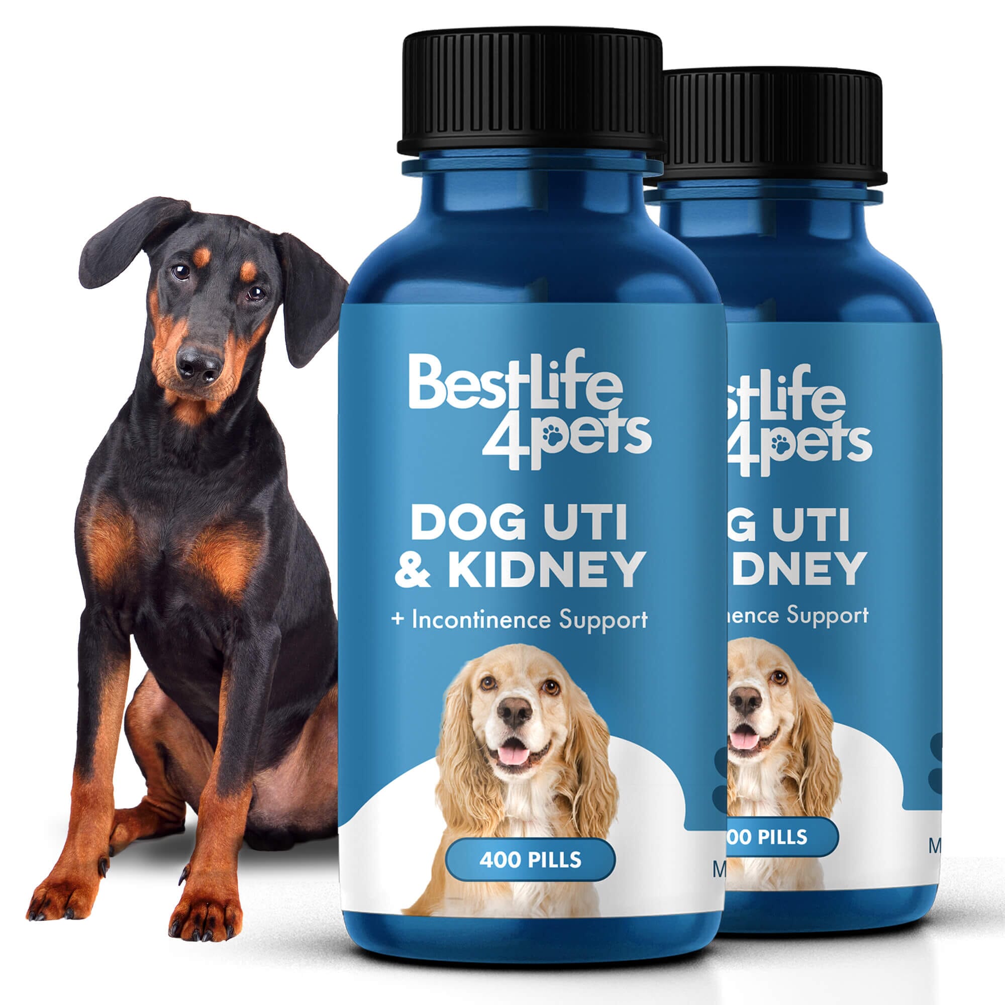 Dog UTI & Kidney Support by BestLife4Pets