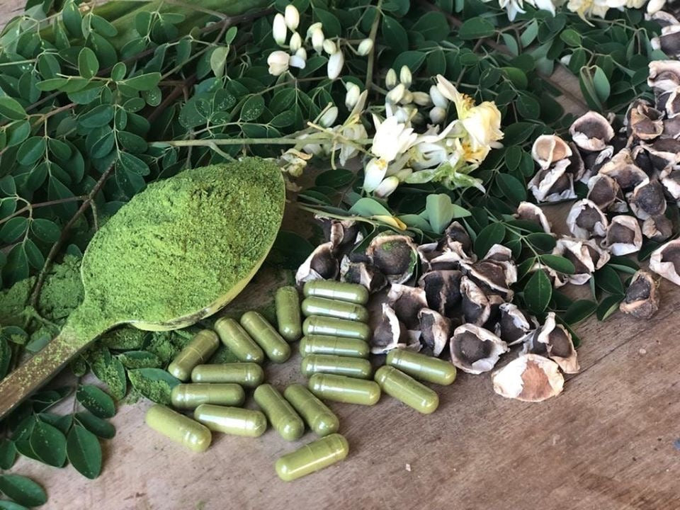 Moringa Leaf Powder – Organic