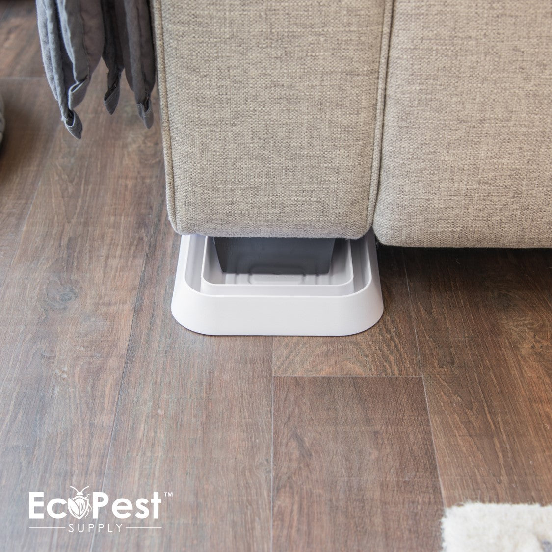 Bed Bug Blocker (XL) — 4 Pack | Interceptors, Monitors, and Traps by EcoPest Supply