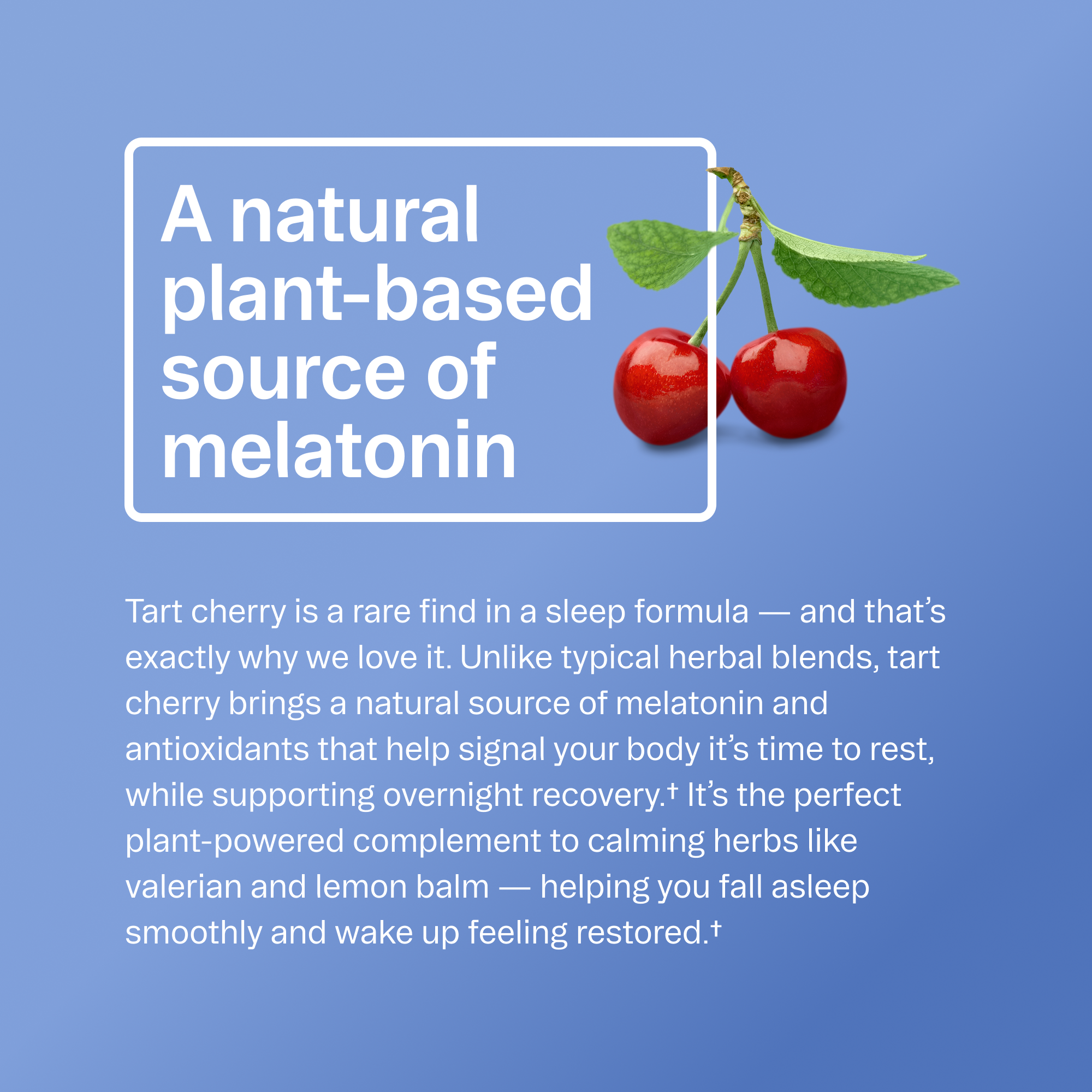 Natural Sleep Support