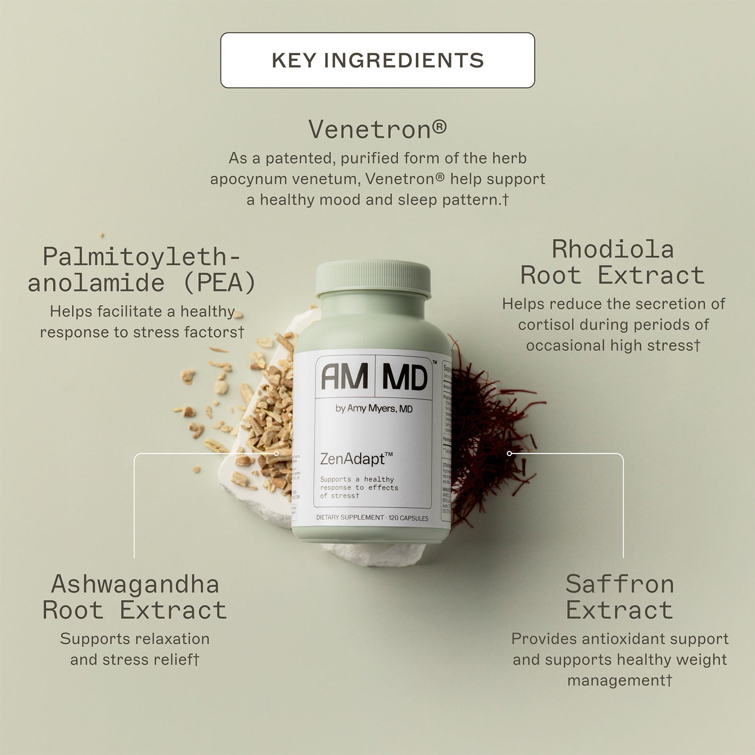 ZenAdapt by Amy Myers MD