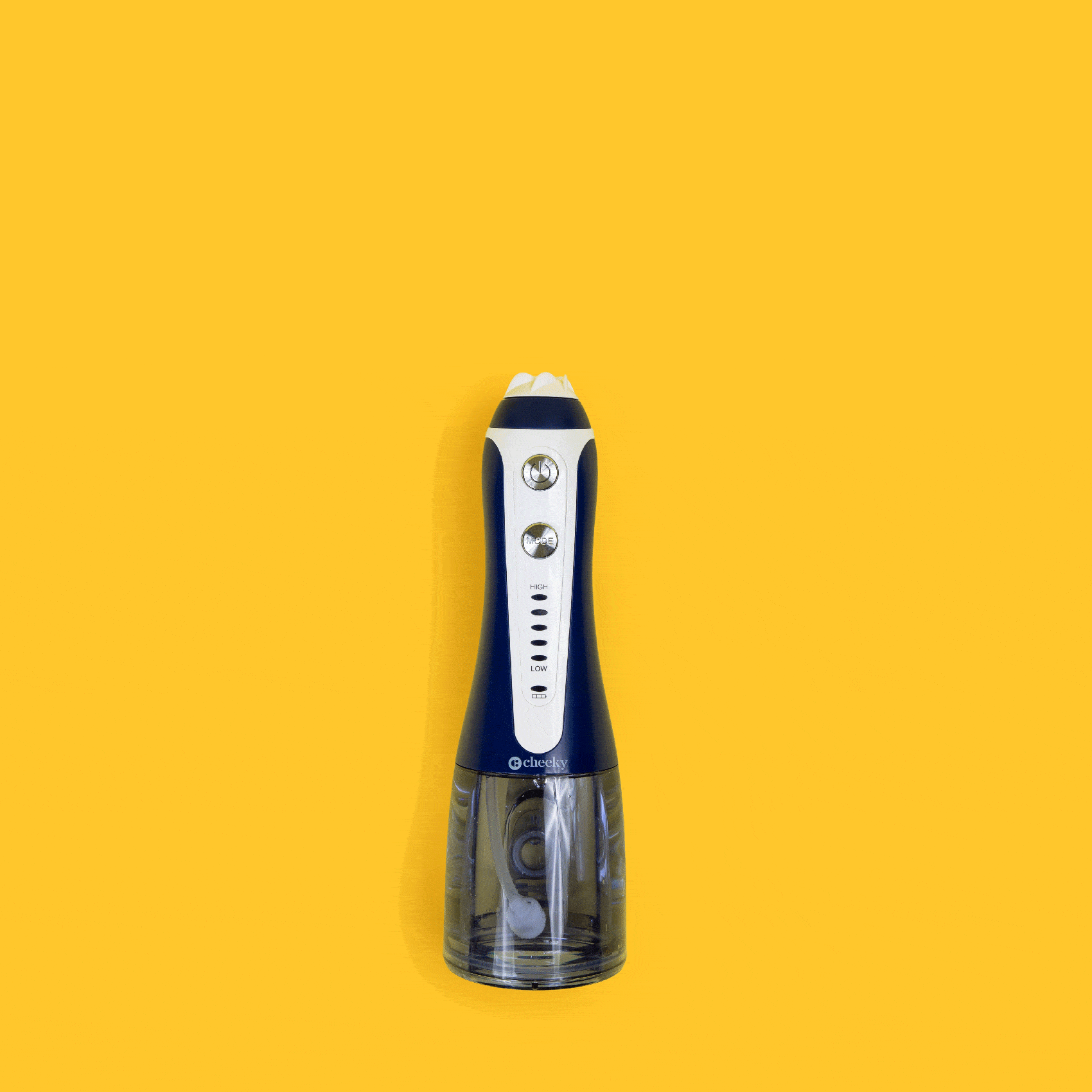Water Flosser by Cheeky