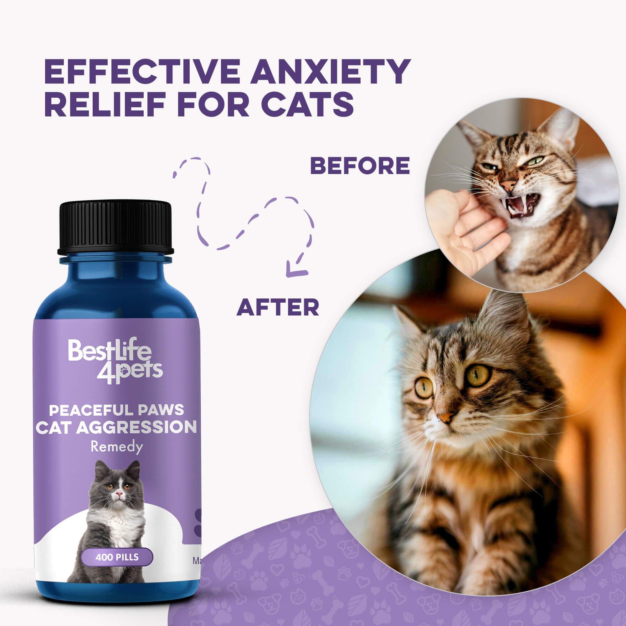 Peaceful Paws Cat Aggression & Anxiety Management for Stress, Spraying, Territorial Behavior by BestLife4Pets