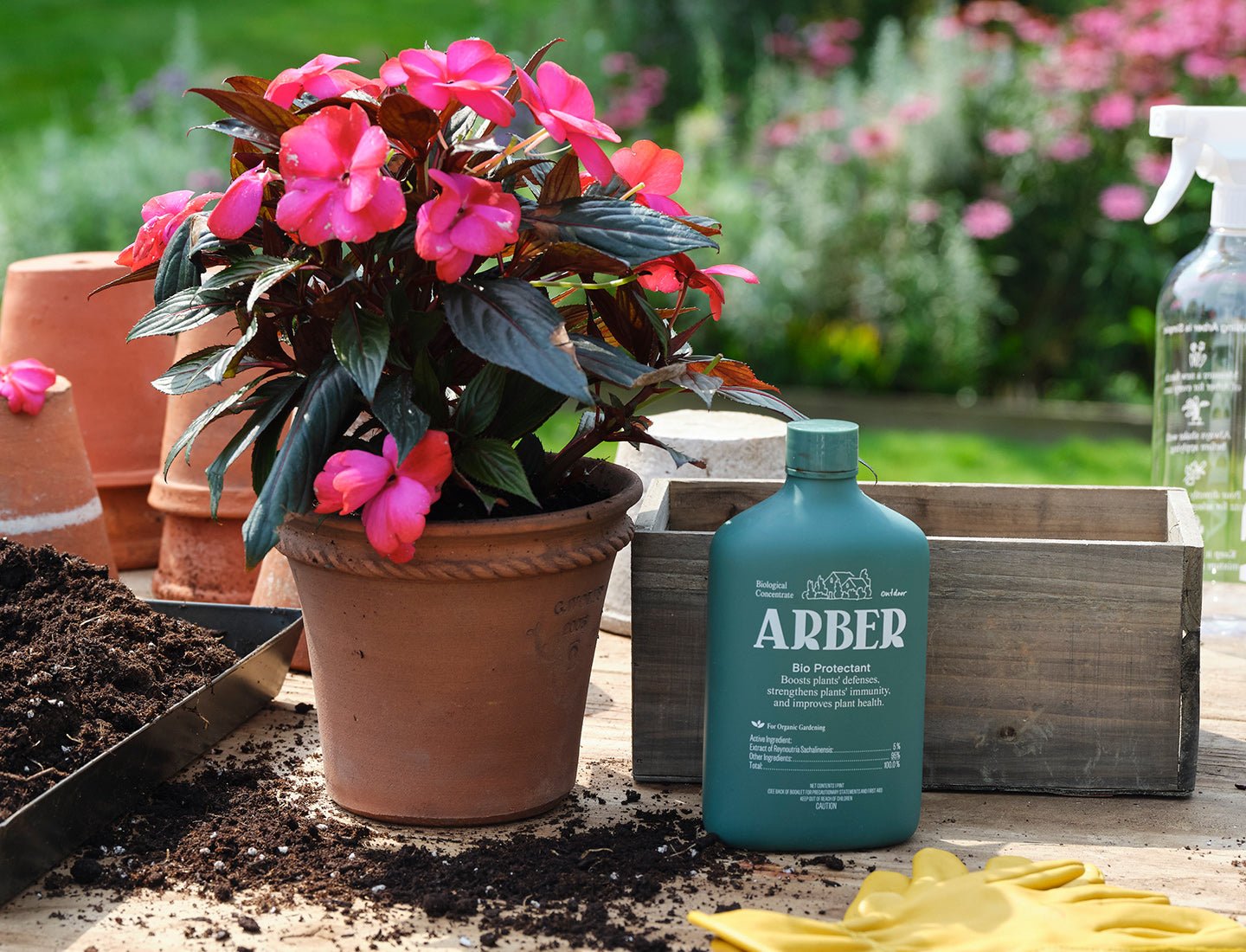 Disease & Insect Control Starter Set