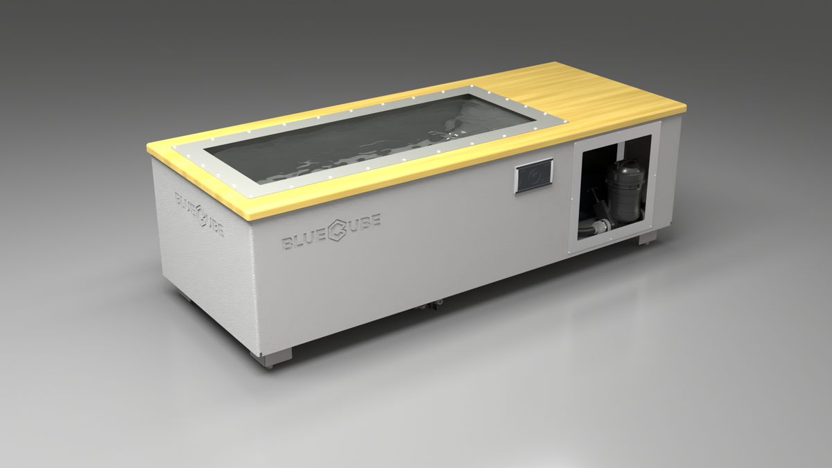 C2 Cold Plunge Tub