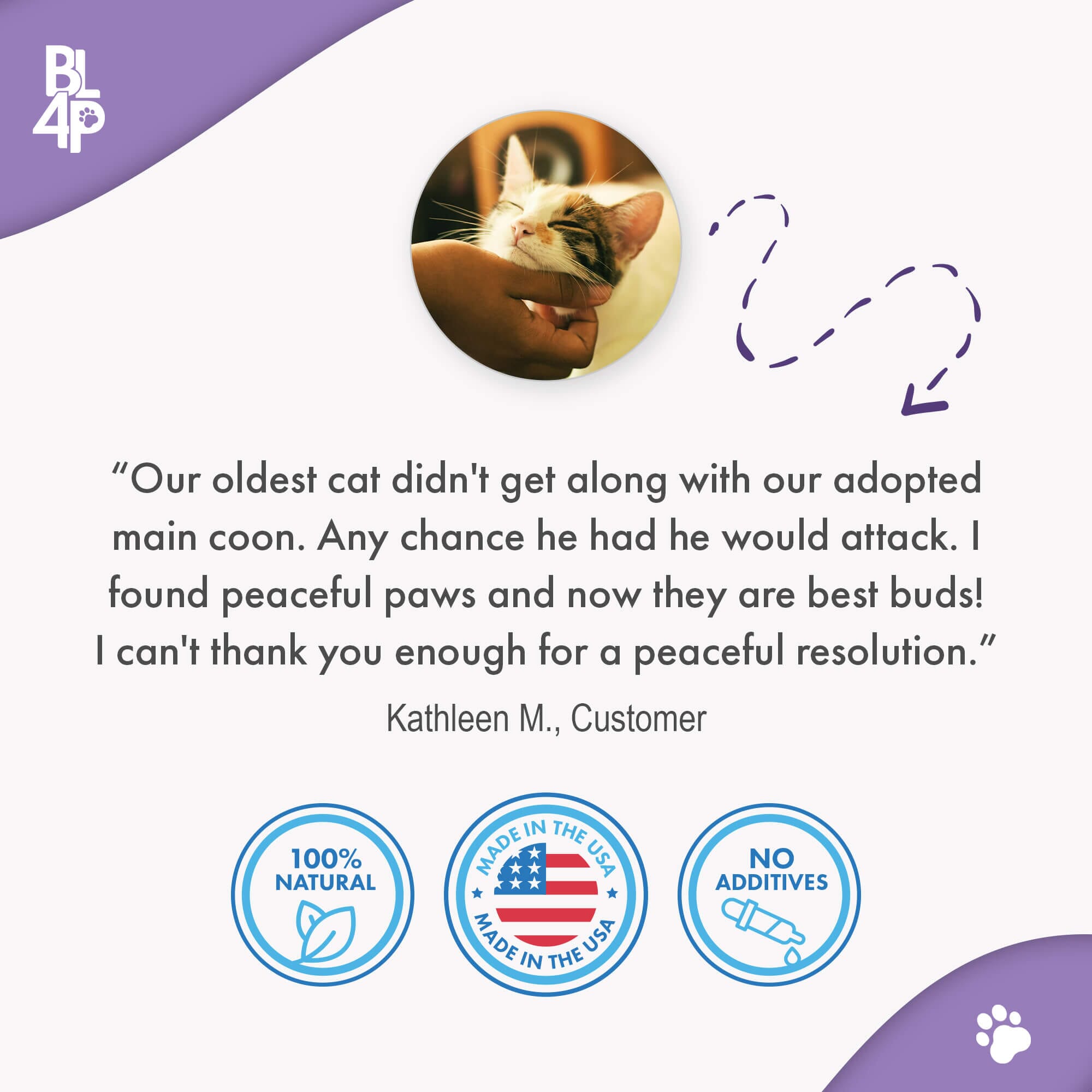 Peaceful Paws Cat Aggression & Anxiety Management for Stress, Spraying, Territorial Behavior by BestLife4Pets