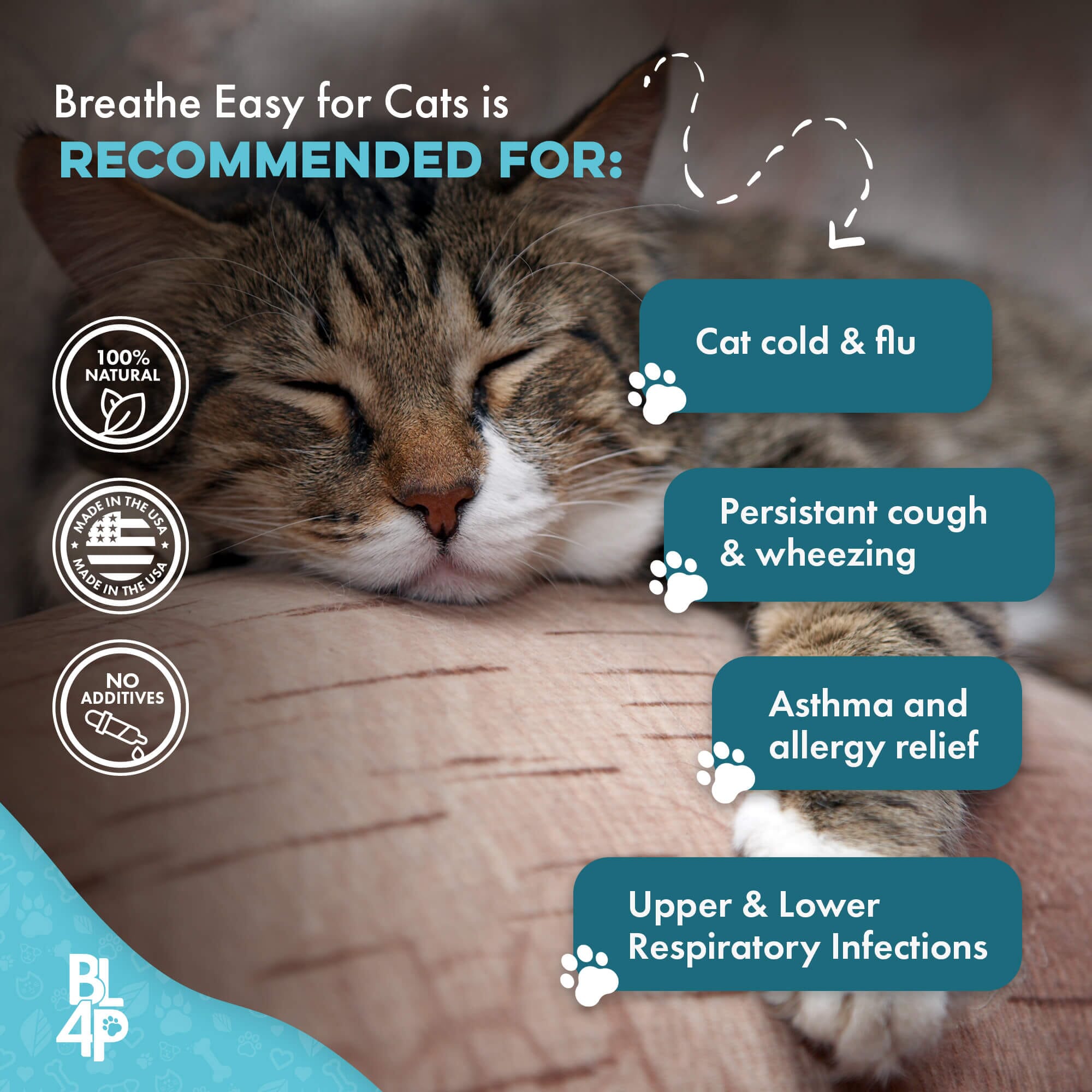 Breathe Easy for Cats - Cold, Sneezing & Respiratory Support by BestLife4Pets