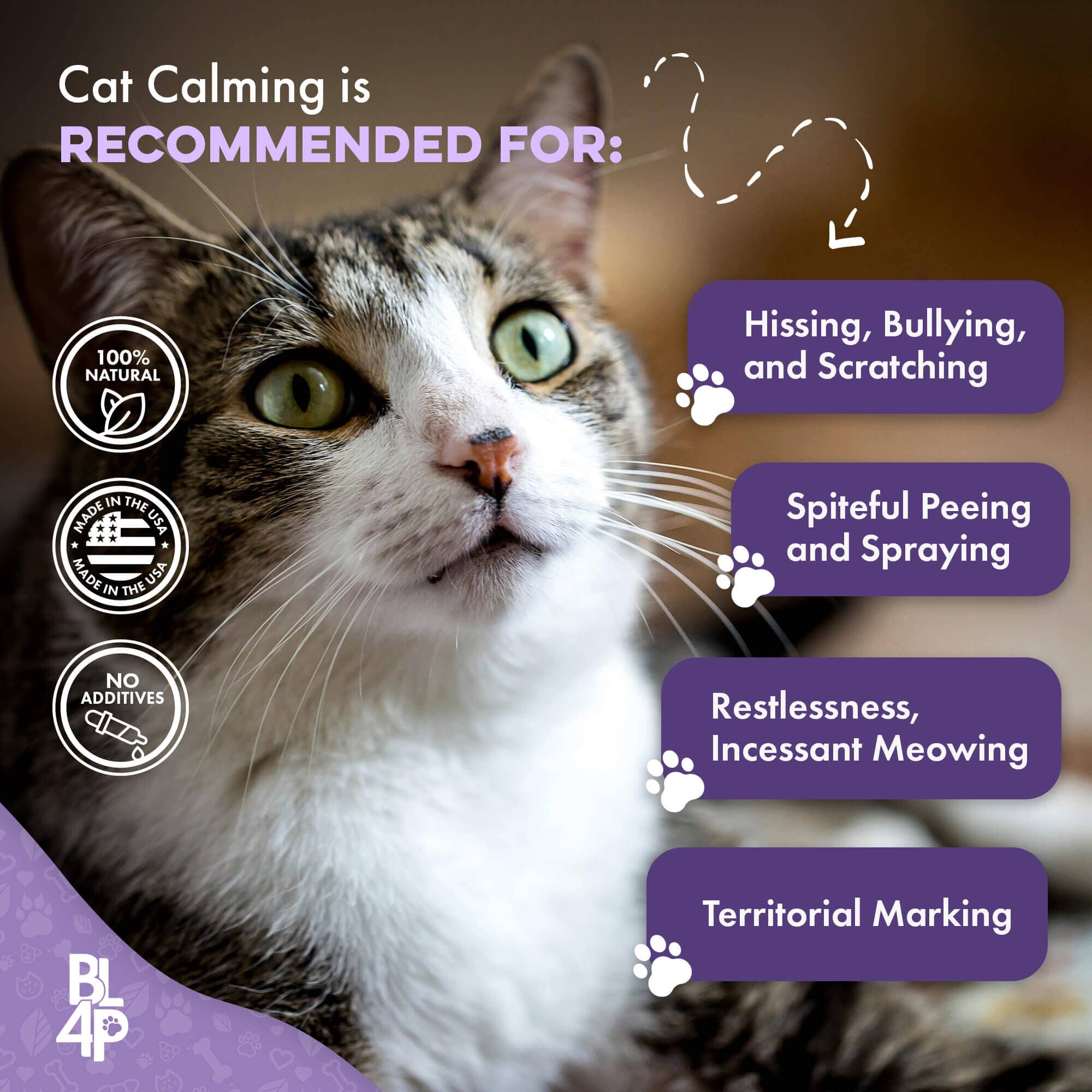 Peaceful Paws Cat Aggression & Anxiety Management for Stress, Spraying, Territorial Behavior by BestLife4Pets