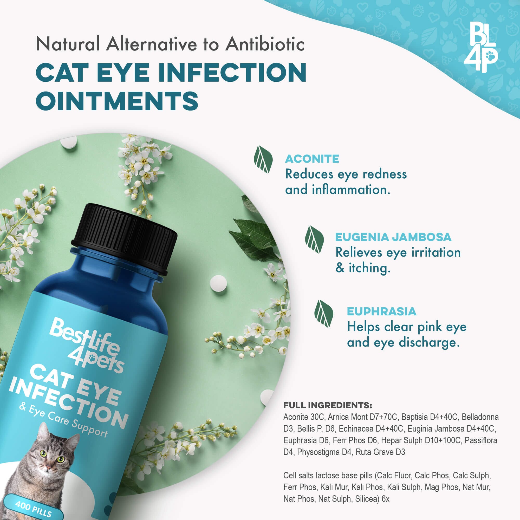 Cat Eye Infection, Eye Care & Vision Support by BestLife4Pets